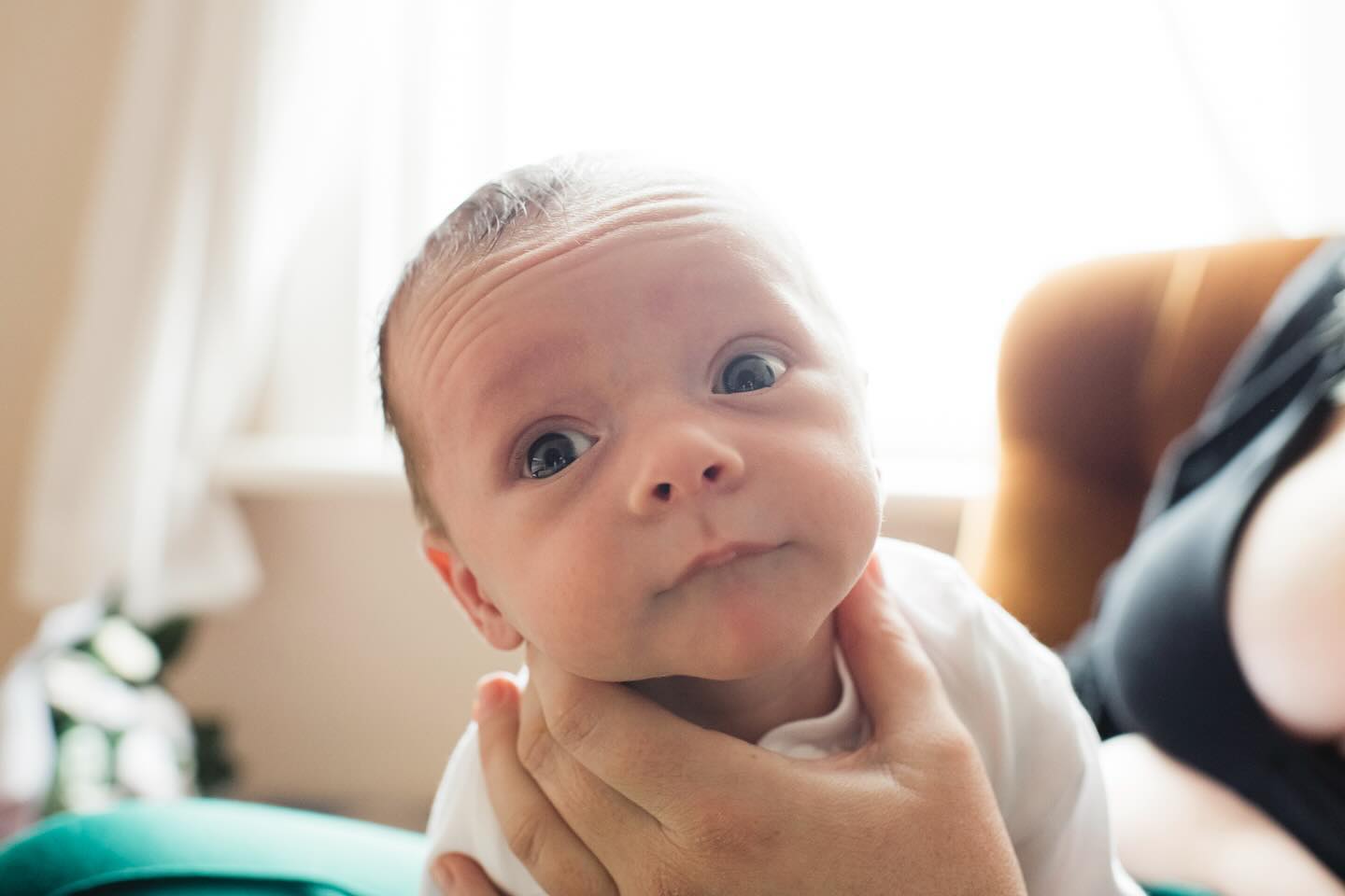 Teeny cherub Artie’s newborn shoot ♥️
@sarahldriscoll
.
#newbornphotoshoot
#naturalnewbornphotography
#newbornphotographycountydurham
#newbornphotographynewcastle