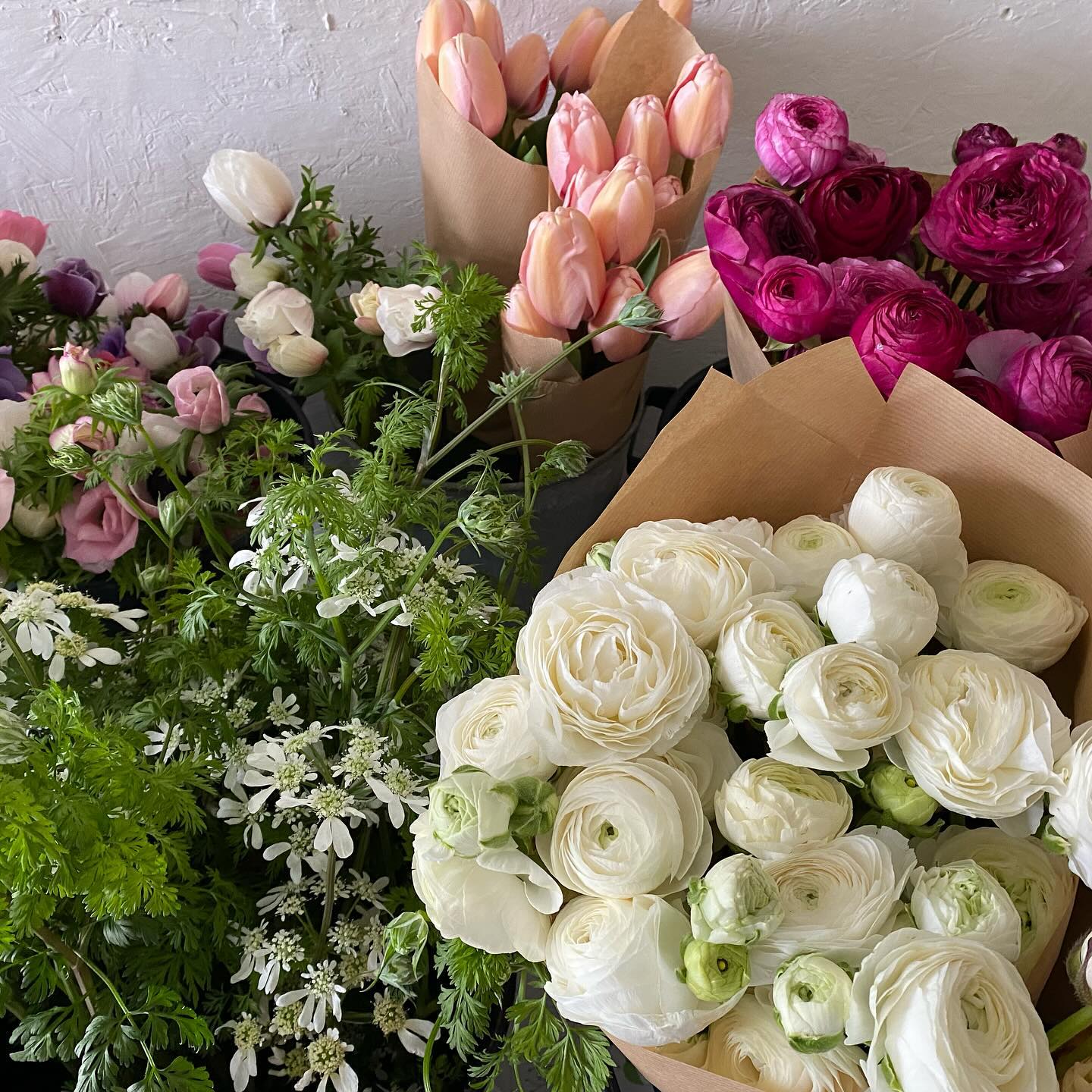 @rivergardenflowers what an epic team effort and fabulous selection of flowers for @budebotanical this week! Forgot to take photos of the amazing foliage too!
Happy Friday everyone!