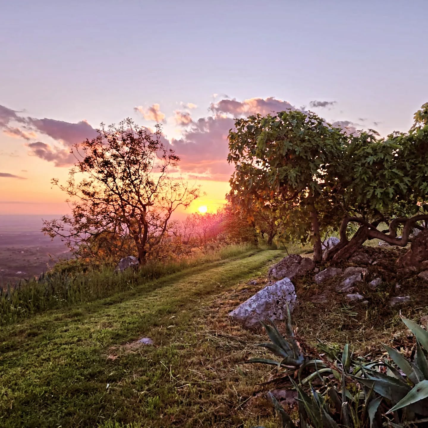 Buonasera! Have a great weekend All!