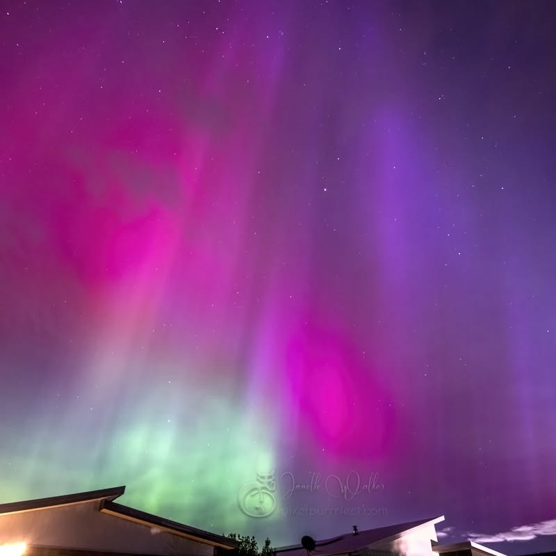 Here’s a little bit of what the aurora looked like from Southern Tassie.
I’ve chased plenty of auroras in the past, but none come anywhere near the once in a lifetime event that unfolded across the world last Saturday night (11th May 2024).
I was stuck at a party so had to make do taking photos from the backyard while I pined to be out looking for more picturesque locations to shoot. The sky came alive as soon as the last light of day faded, with beams of red and green visible to the naked eye. The aurora stretched right across the sky in every direction, including overhead. The Starlink satellite train made an appearance trying to compete just after sundown.
.
.
.
.
.
.
.
.
.
.
.
#aurora #abchobart #abcmyphoto #southernlights #nightphotography #astrophotography #longexposure #raw_skies #tasmania #discovertasmania #autumntasmania24 #raw_australia #australia__downunder #raw_australia_nz #signatureshots #snapographers #exquisitepics20_australia #raw_community #nightsky #aussiephotos #world_photography_page #passion_4_living_photos #raw_community_member #instatasmania #mint_shotz #freshbreezeclub #amazingtasmania #hey_ihadtosnapthat2