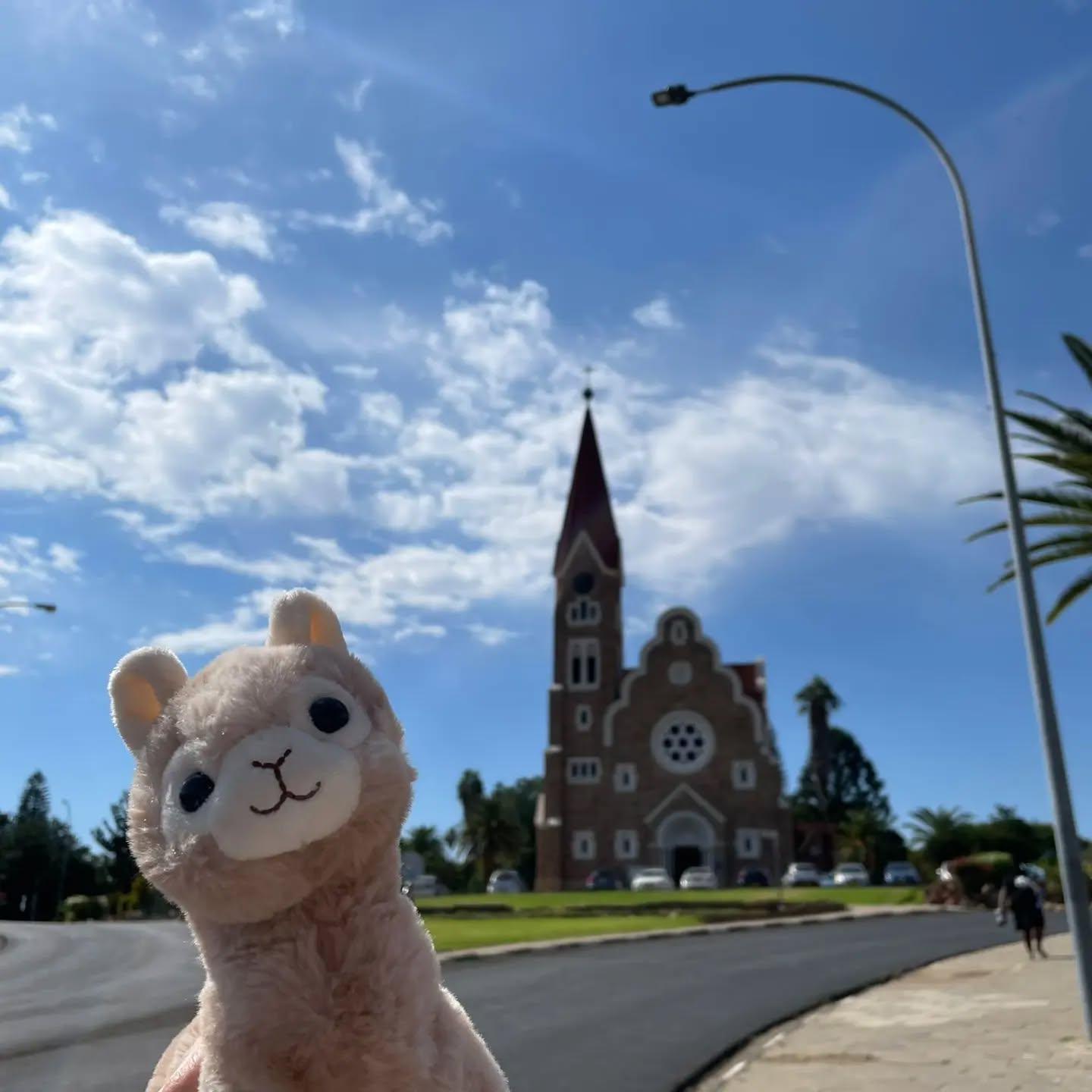 #pepperdasobstwiesenalpaka hat wieder das Fernweh gepackt 🛫! 🦙 Und schon ist sie in #windhoek #namibia 🇳🇦 unterwegs! Laut ihrer Aussage "super schön da und ganz nette Leute"😊 !
#obstwiesenalpakas
#alpaka #alpaca #alpakasofinstagram #alpacasofinstagram #fernweh #afrika #africa
@obstwiesen.alpakas @jana.khnk 👍🏼