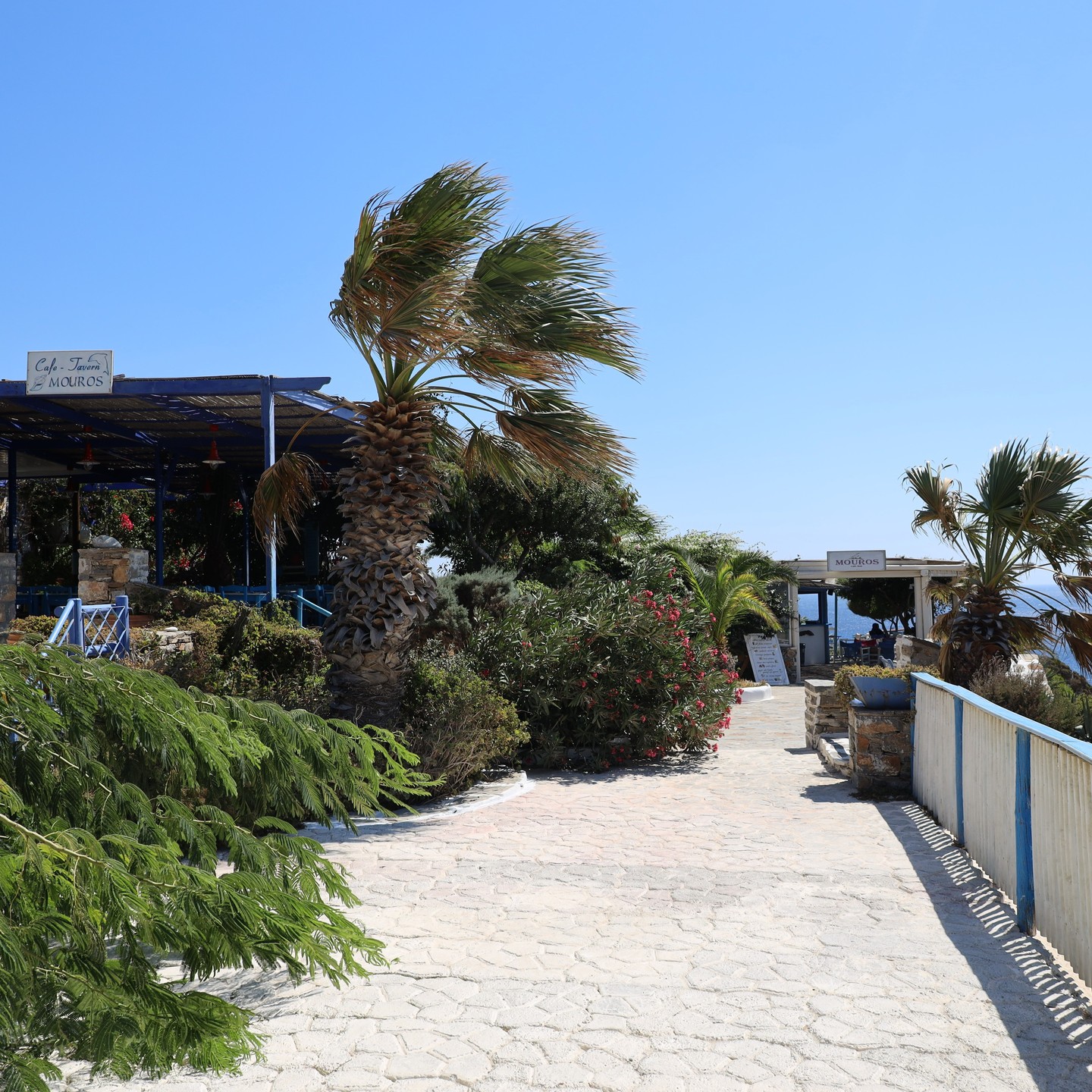 Mouros Taverna at Mouros Beach, south coast of Amorgos island
#my_greece
#visitgreeceguide
#visitgreece
#visitgreecegr
#visitmagicalgreece
#greek
#greekgetaway