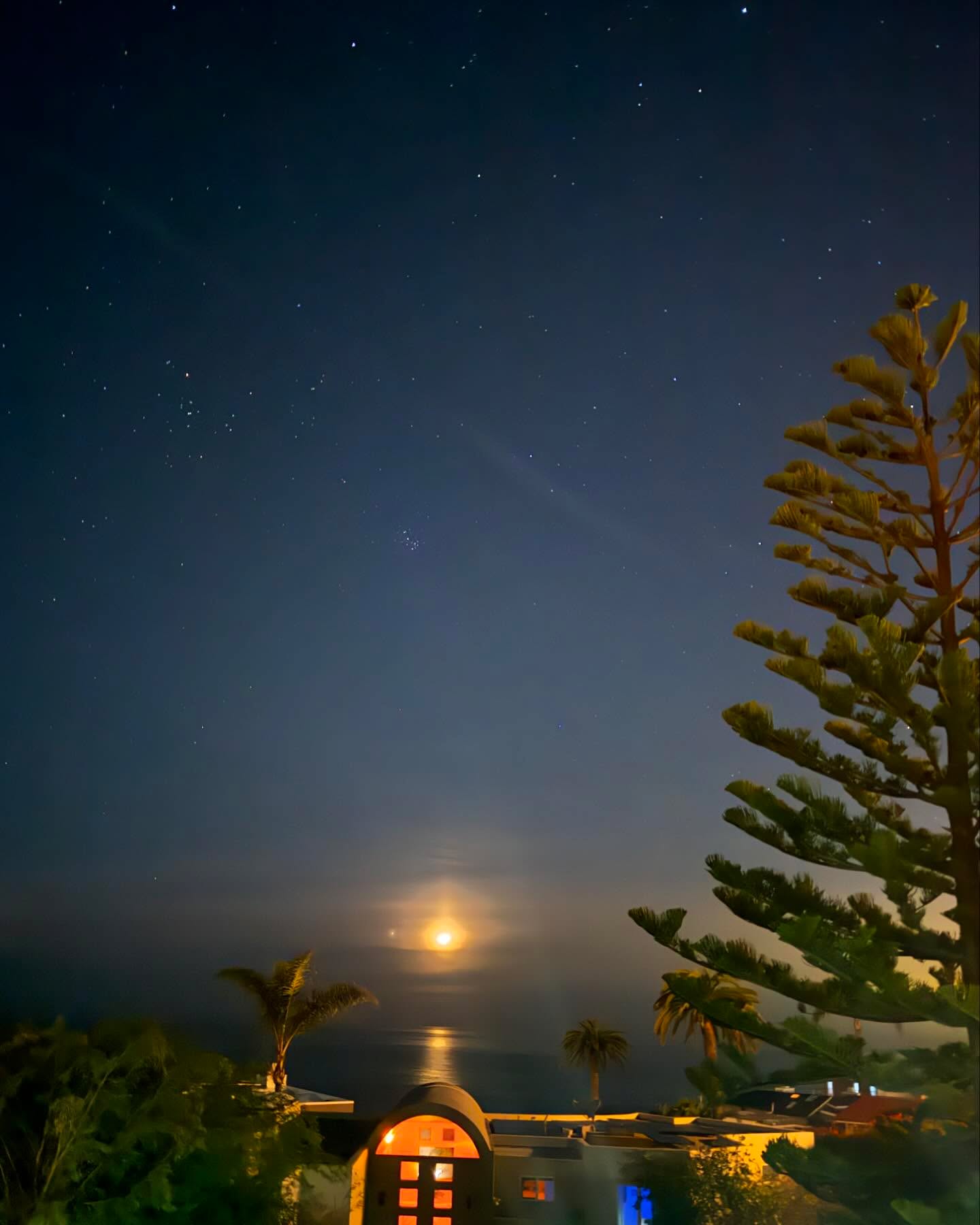 If you never bleed,
You never grow.
🌒
Be easy on yourself this week.
Feel every drop of what comes up.
Live from your heart.
Move your body.
Listen to the music that moves you, loudly.