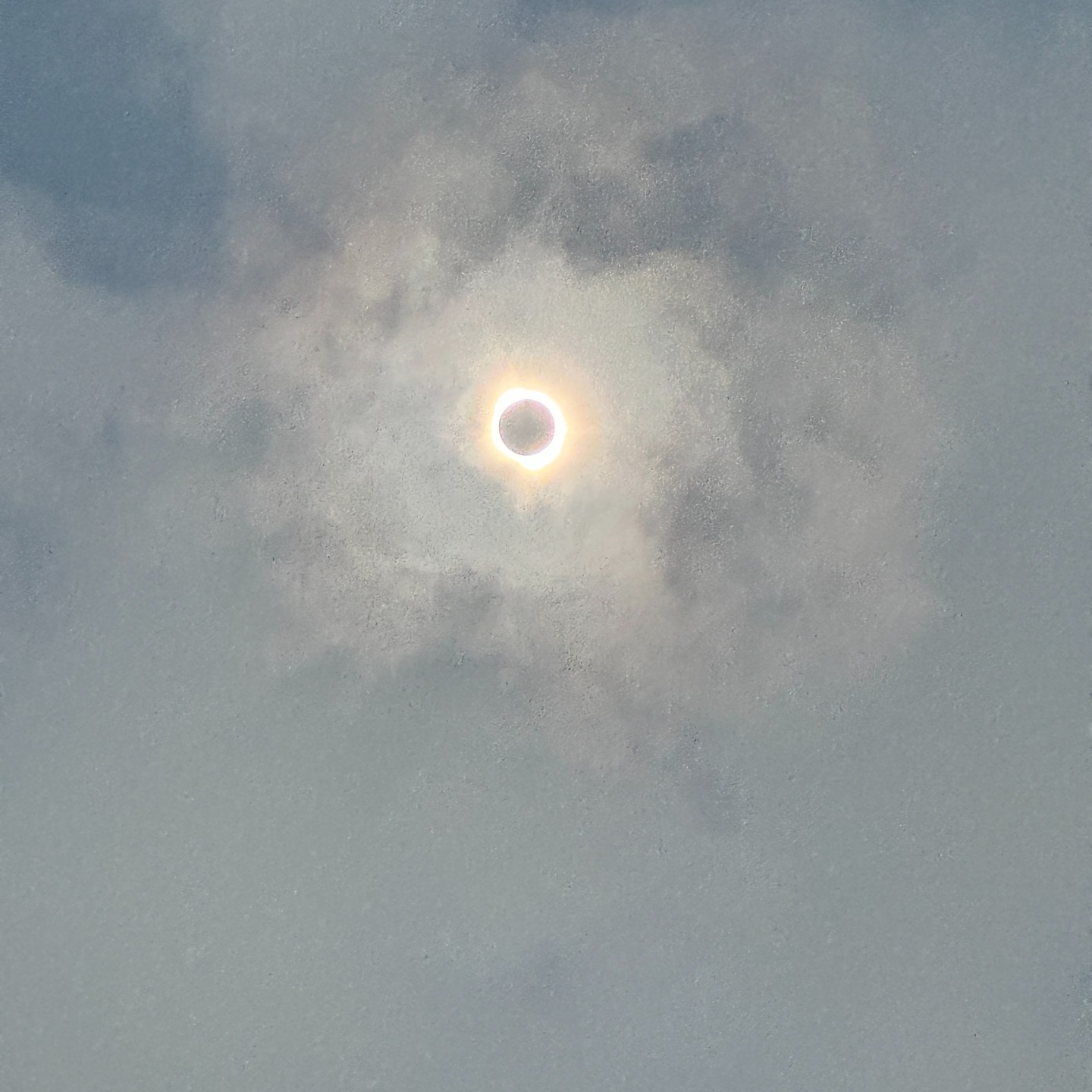 Eclipse 2024
Who turned out the lights?
#eclipse #eclipse2024