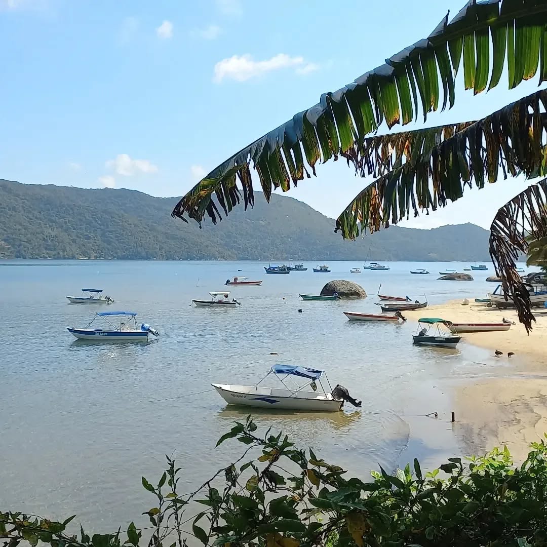 Saco do Mamanguá, inúmeras subidas, mas cada dia é diferente.
Luz diferente, sol, nublado, chuva e pessoas diferentes, mas a Beleza e Riqueza são impressionates!
Riqueza Cultural, ancestral e que nos ensina a cada dia!
Beleza do seu povo e da Natureza ao redor!
#Paraty #natureza #nature #mtur #turismo #viagem #destinosbrasileiros