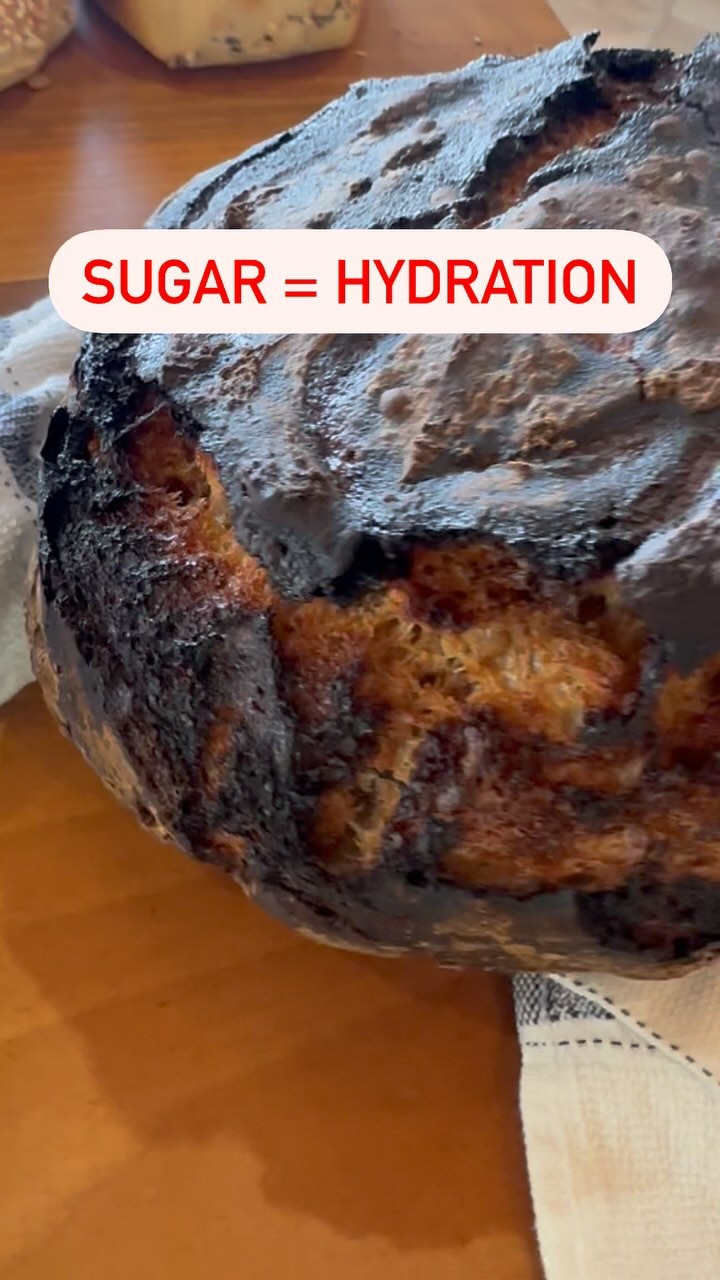 Sometimes you plan, and sometimes sourdough plans you!
This was a custom order based on my cinnamon sugar loaf. The request came from the client to use date honey instead of sugar.
And as you can see that soldier boy cranked me! The date honey added more moisture, exploded and then burnt at the top.
Have no fear I haven’t given up and neither should you. Trial and error is the way to go. I’ll be trying this with a lower hydration and mixing it in the earlier stages of bulk fermentation.
#tipoftheday Sugar = Hydration.
When adding sugar, lower hydration or be prepared accordingly.
#fail #sourdough #artisanbread #homemade #selfsufficent #trialanderror