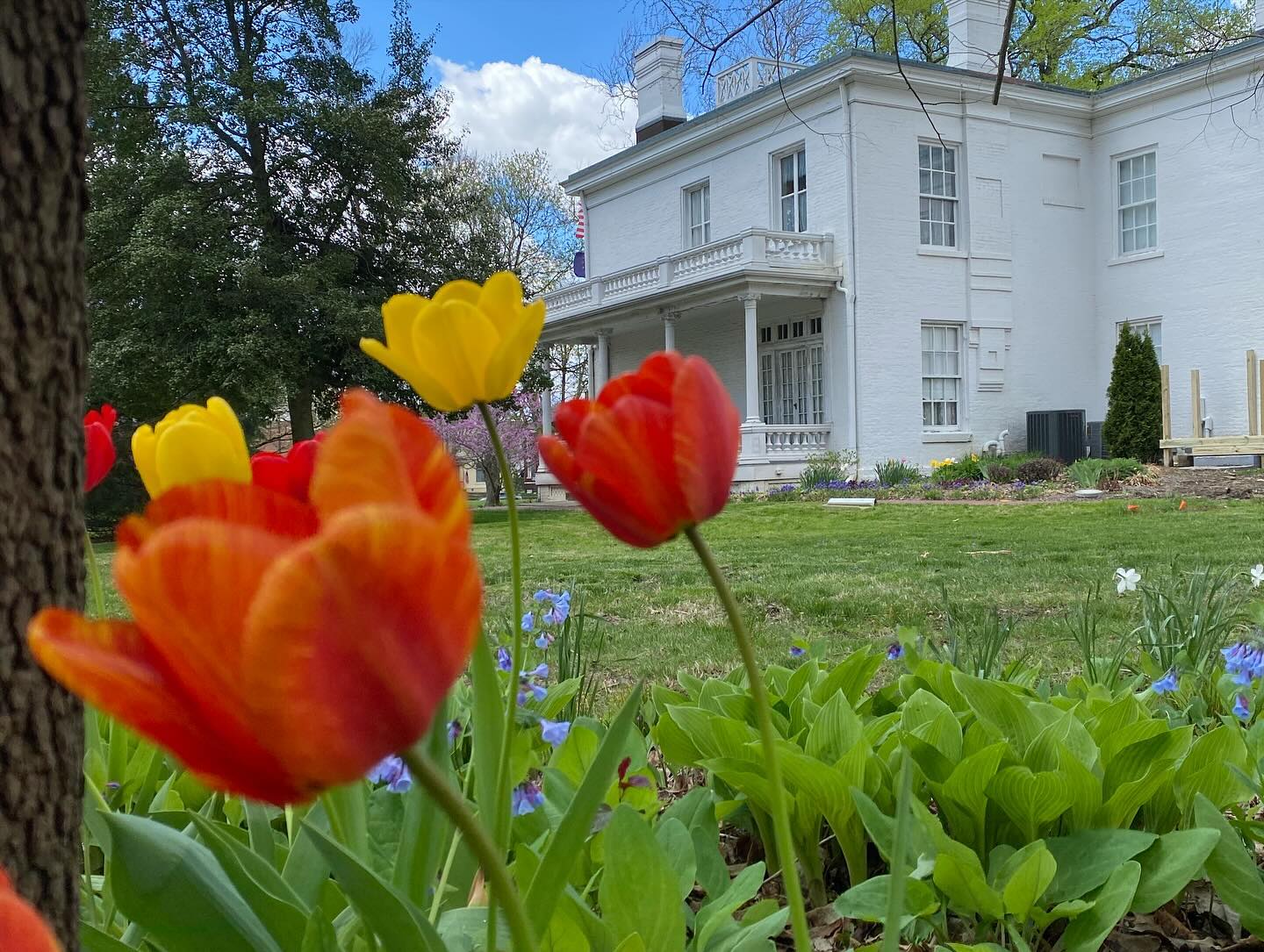 We are so excited to finally be installing a ramp here at our historic home, Lane Place! While we are unable to make our home wheelchair accessible, we will now have a way to welcome guests into our home who have physical limitations that make stairs difficult. We’ve been collecting donations for a ramp for several years and with the help from a @montgomerycocommunityfdn grant we were finally able to move forward on this project! We’ll post pictures of the completed ramp next week! Thank you @davidson_greenhouse_nursery to the great start your crew has made, you have always been a great partner to our landscape aspirations! 💙