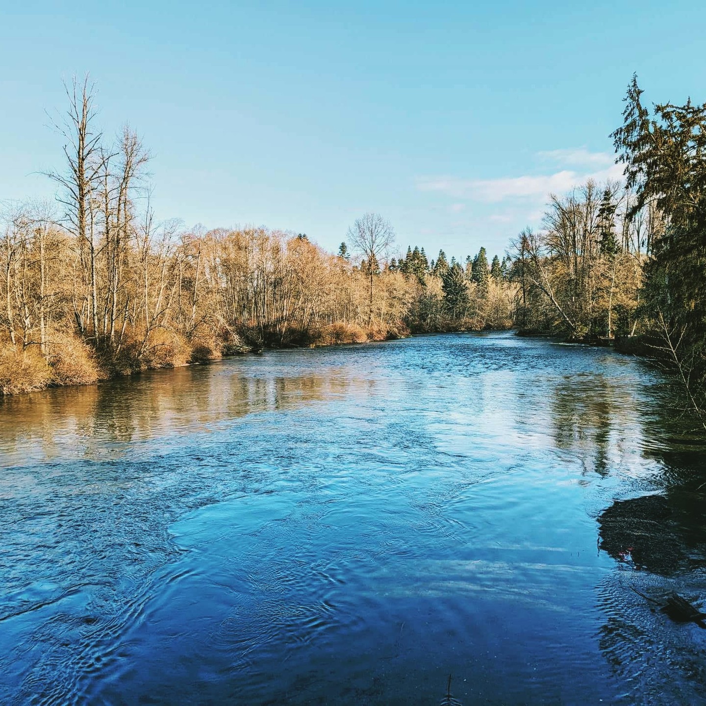 Beautiful day down at the river side
#puntledgeriver #beautifulbc #puntledgervcampground