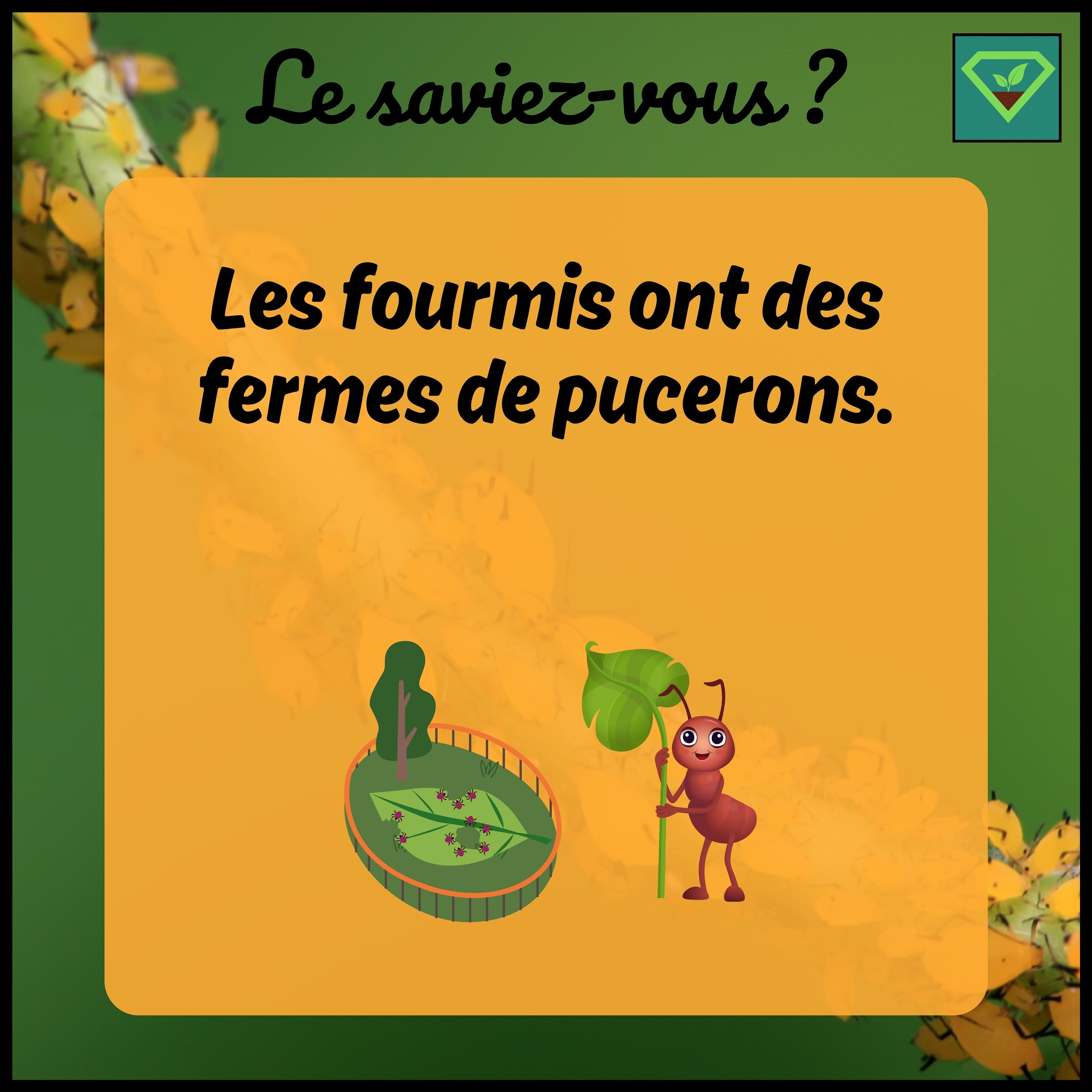 🐜🚜🍃Les fourmis ont des fermes de pucerons: Tout comme les humains élèvent des vaches pour leur lait, certaines espèces de fourmis protègent et élèvent des pucerons pour se nourrir de leur sécrétion sucrée, le miellat.
#savoir#histoire#insolite#lesaviezvous#greenisyou#funfact#info#culturegenerale#fourmis#ferme#pucerons#miellat