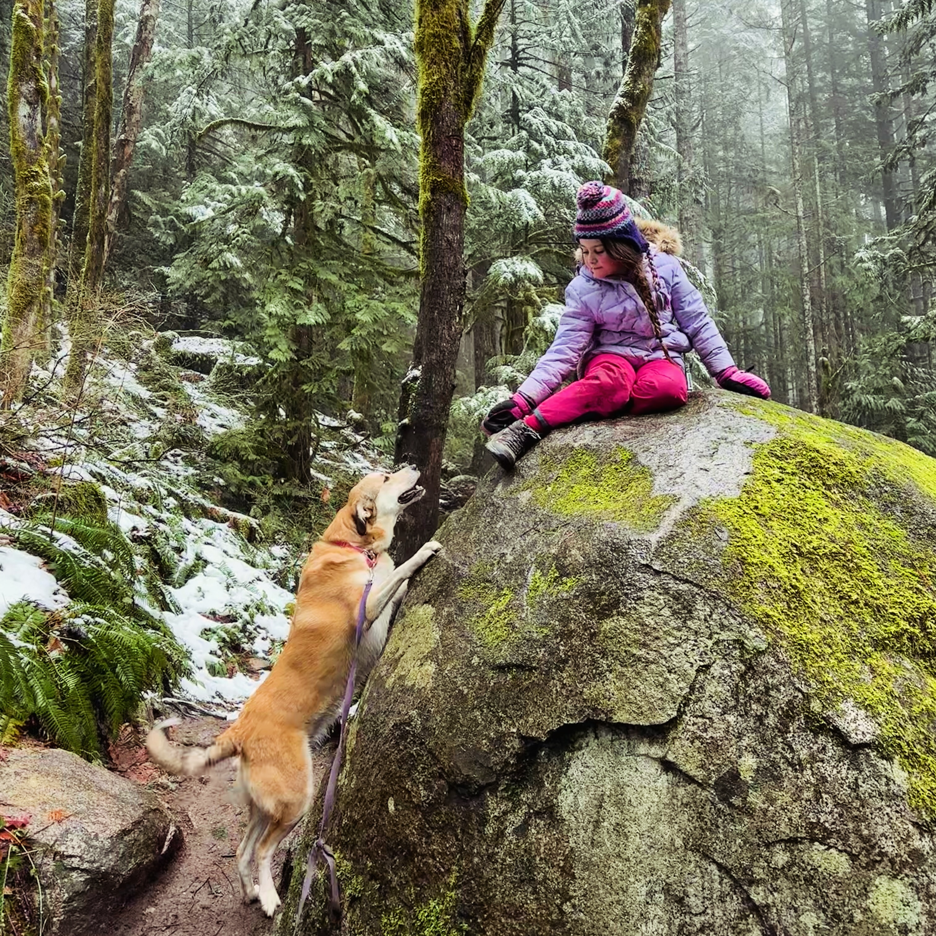 Adventures with these loves 🐾👧🏔️ (and our fearless copilot)
Everything you need to know for a wonderful mini-hike in Bigfoot Country—less than 90 minutes from Seattle—up now on the blog (link in bio👆) And because we love you, we’ve included the perfect pre/post coffee stop. Happy journeying! Xx
.
.
.
.
.
.
#pnwonderland #pnw #minihike #hike #heybrooklookout #washingtonstate #getoutsideandplay #explore #bigfootcountry #thefuturewild