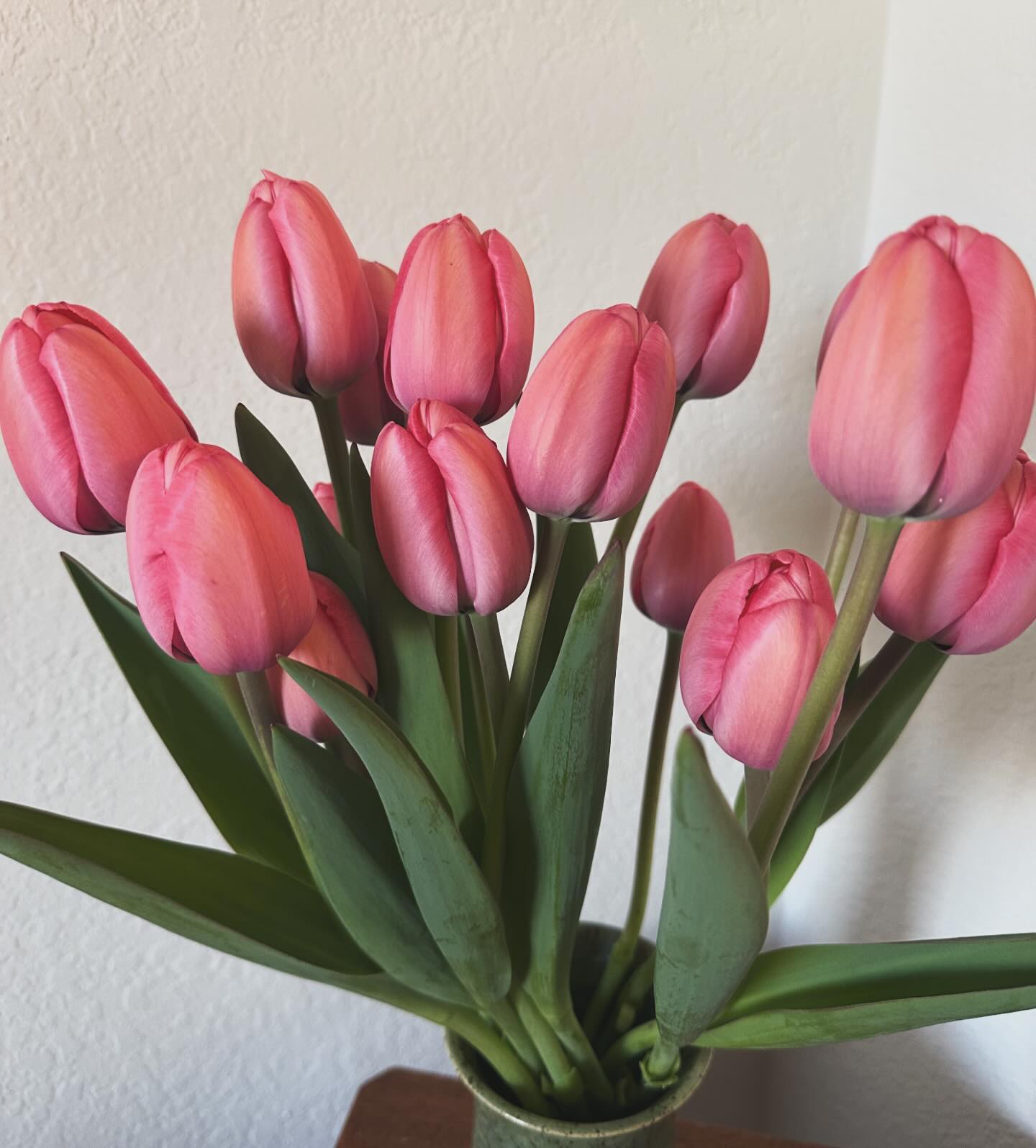 Yes, you do need a bunch of tulips for your nightstand. Or kitchen table or bathroom vanity or coffee table or desk or or or or…and guess what? I’m your girl! Tulip bunches available now - and daffodils too. The heat this week could make them go quick though, so don’t sleep on this one (unless it’s next to a lovely bunch of tulips on your nightstand, I suppose). #wellgrownfarm #wellgrownflowers #localflowers #springflowers #tulips