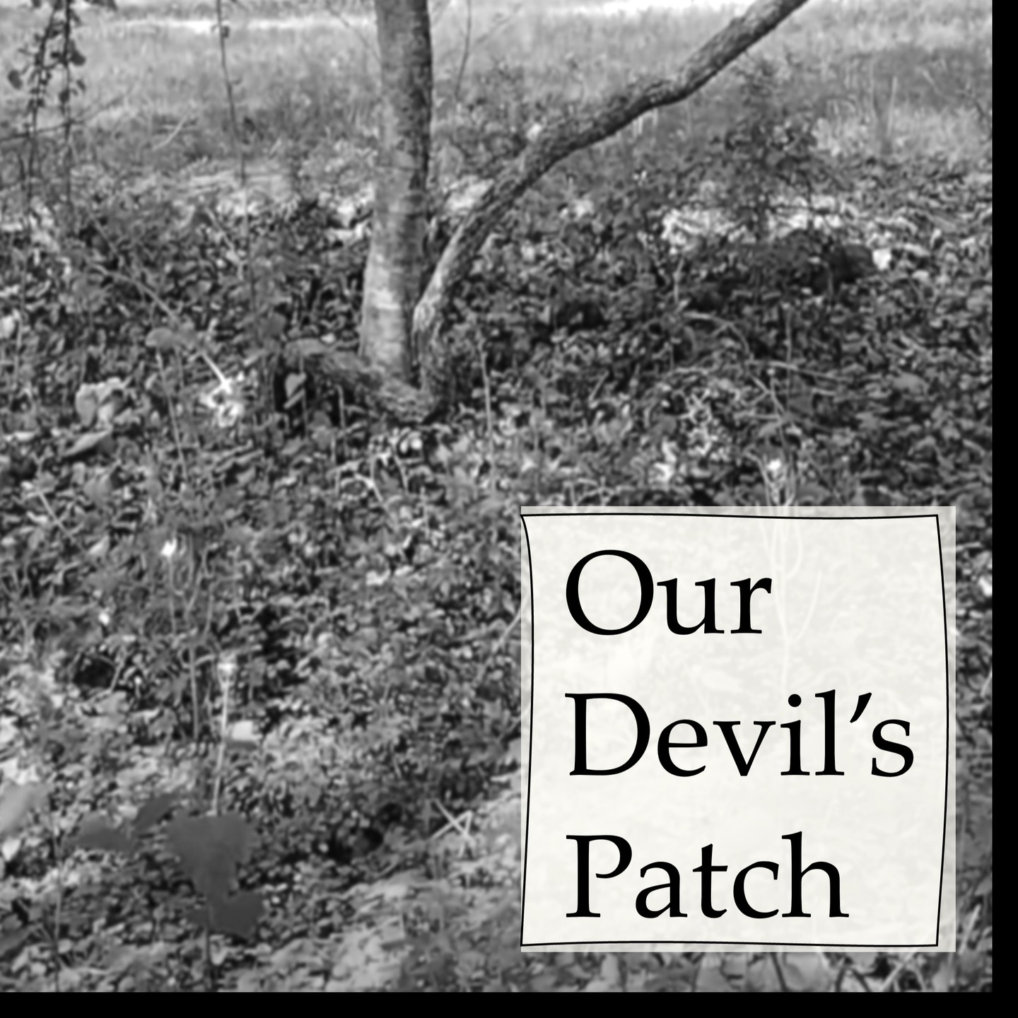 “One of the ways that Scottish custom retains peace with terrestrial spirits is to dedicate an area of yard called a devil’s patch (deil’s patch) that is allowed to grow wild and never touched. If an unknowing occupant moves in and decides to tear up this area in the name of landscaping, they are sure to hear about it from the nonhuman residents.”
(This quote is from our book Unquiet Voices which includes how to identify when a paranormal disturbance is caused by a nonhuman spirit.)
#paranormalactivity#scotland#scottishfolklore#witchesofinstagram#llewellynworldwide #naturalgarden#unquietvoices#spirits#paganlife