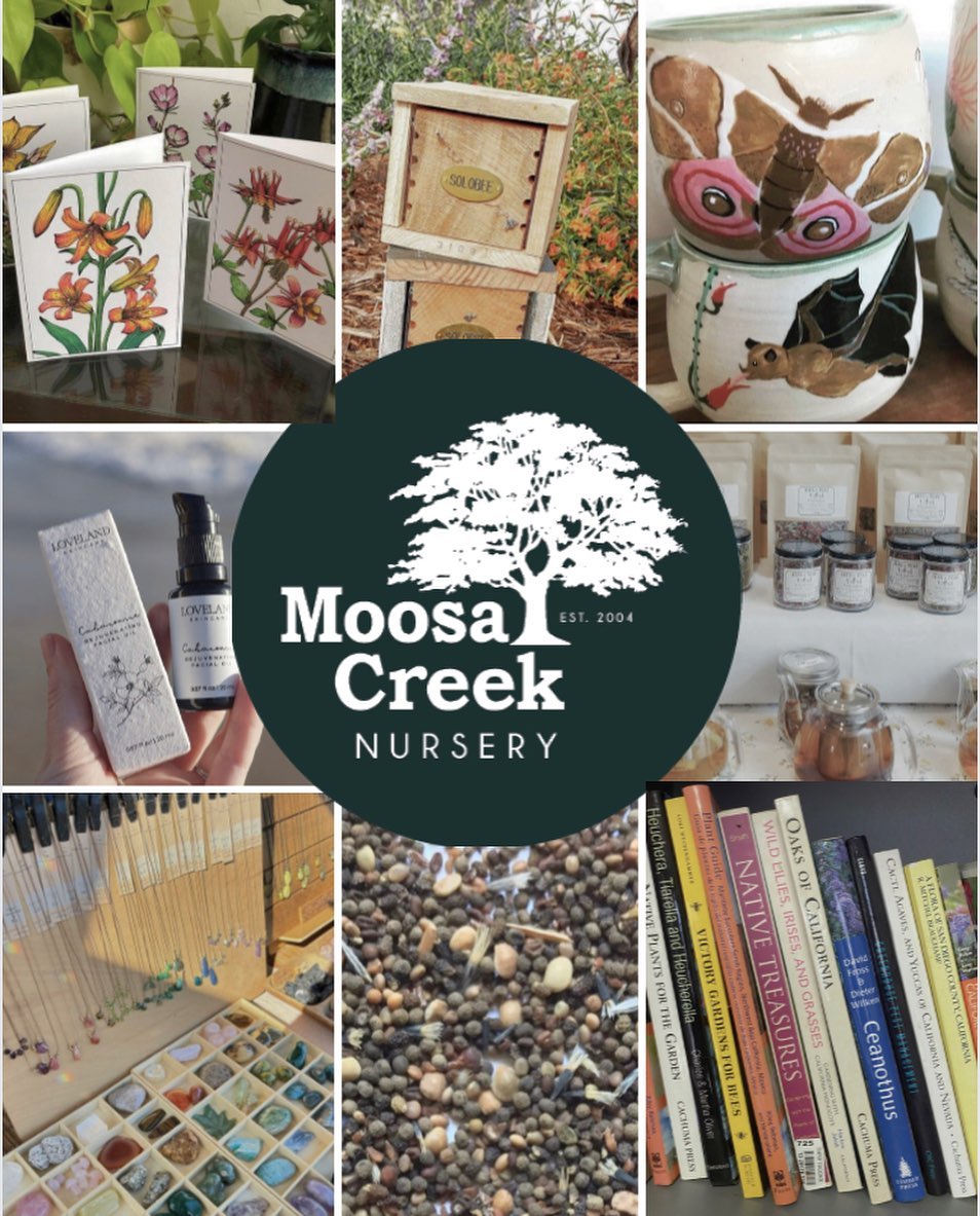 Sneak preview of the amazing local artisans and vendors joining us for our 20th Anniversary Spring Fling event this Saturday! ๐
๐จ @aeeillustration
๐ @solobee_shelter
๐ต @rabbitheartceramics
๐น @lovelandskincare
๐ฟ @beesandteas.apothecary
๐ @earlyglowcreations
๐ฑ @cnpssd seeds and bulbs
๐ @cnpssd book collection
Come on out and support your local, small businesses! ๐๐ฑ๐
#canativeplants #localsd #sdevents #sdartisan #canativeplantweek