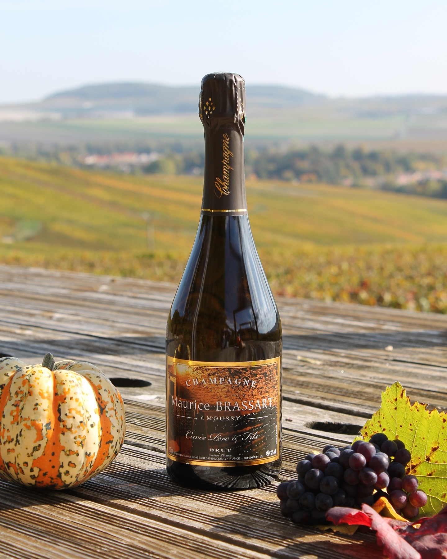 Il est temps de poursuivre notre série de présentations de nos cuvées avec la cuvée Père et Fils, cette cuvée est issue à la base d’une cuvée éphémère faite à l’occasion du passage à l’année 2000, elle tient son nom du passage des générations de père en fils depuis 4 générations. Au niveau de l’assemblage, il est à un tiers de chaque cépage : 1/3 de Meunier, 1/3 de Pinot Noir et 1/3 de Chardonnay. Pour déguster cette cuvée rendez-vous à Moussy sur l’exploitation du Champagne Brassart, n’hésitez pas à prendre rendez-vous, cela vous assure la présence de quelqu’un sur le domaine ; ou sur notre site internet champagnebrassart.com. À votre avis, quelle sera la prochaine cuvée présentée le mois prochain ? Abonnez-vous pour ne louper aucune publication !
#champagne #champagnebrassart #cuvéepereetfils #générationdevignerons #vignerondepereenfils