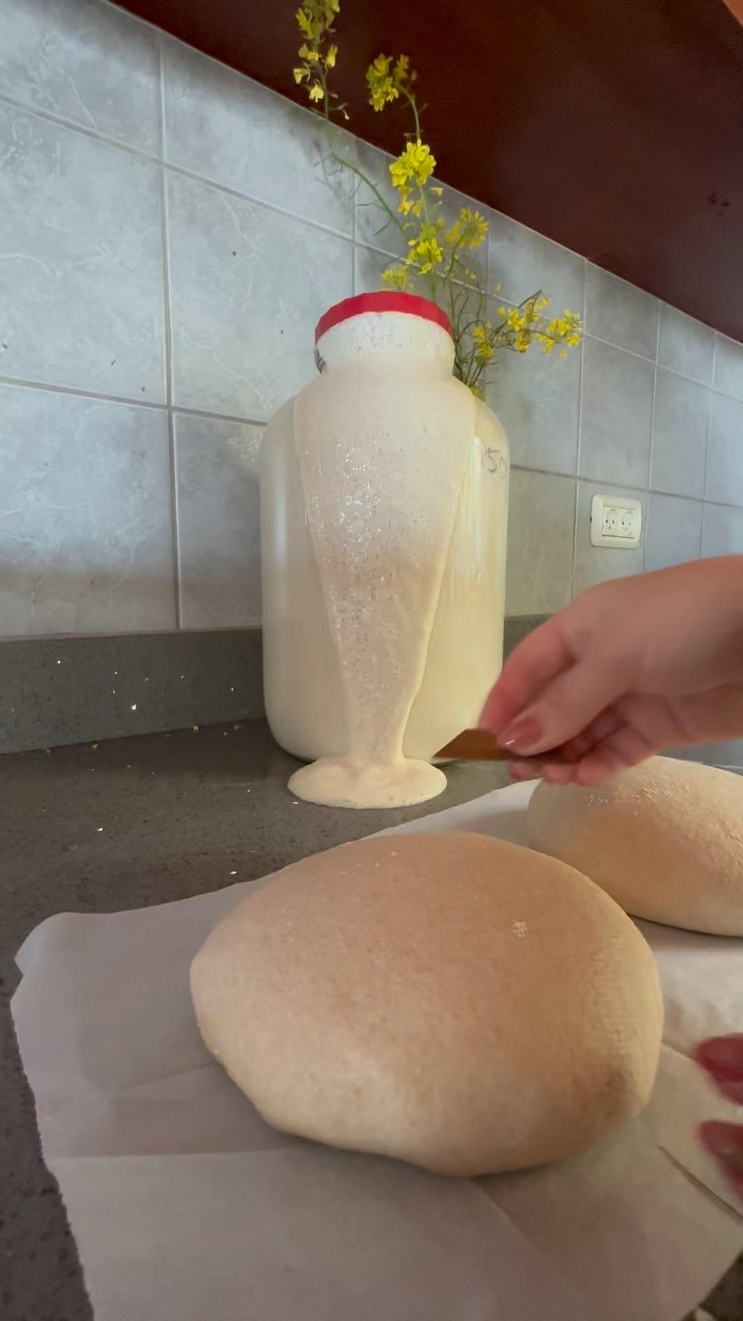 I rarely have footage of me scoring because it’s usually on a very hectic Friday but I got this one for y’all!
Do you know the secrets you getting a perfect score every time??
#sourdough #sourdoughbread #scoring #sourdoughscoring #sourdoughstarter #explosion