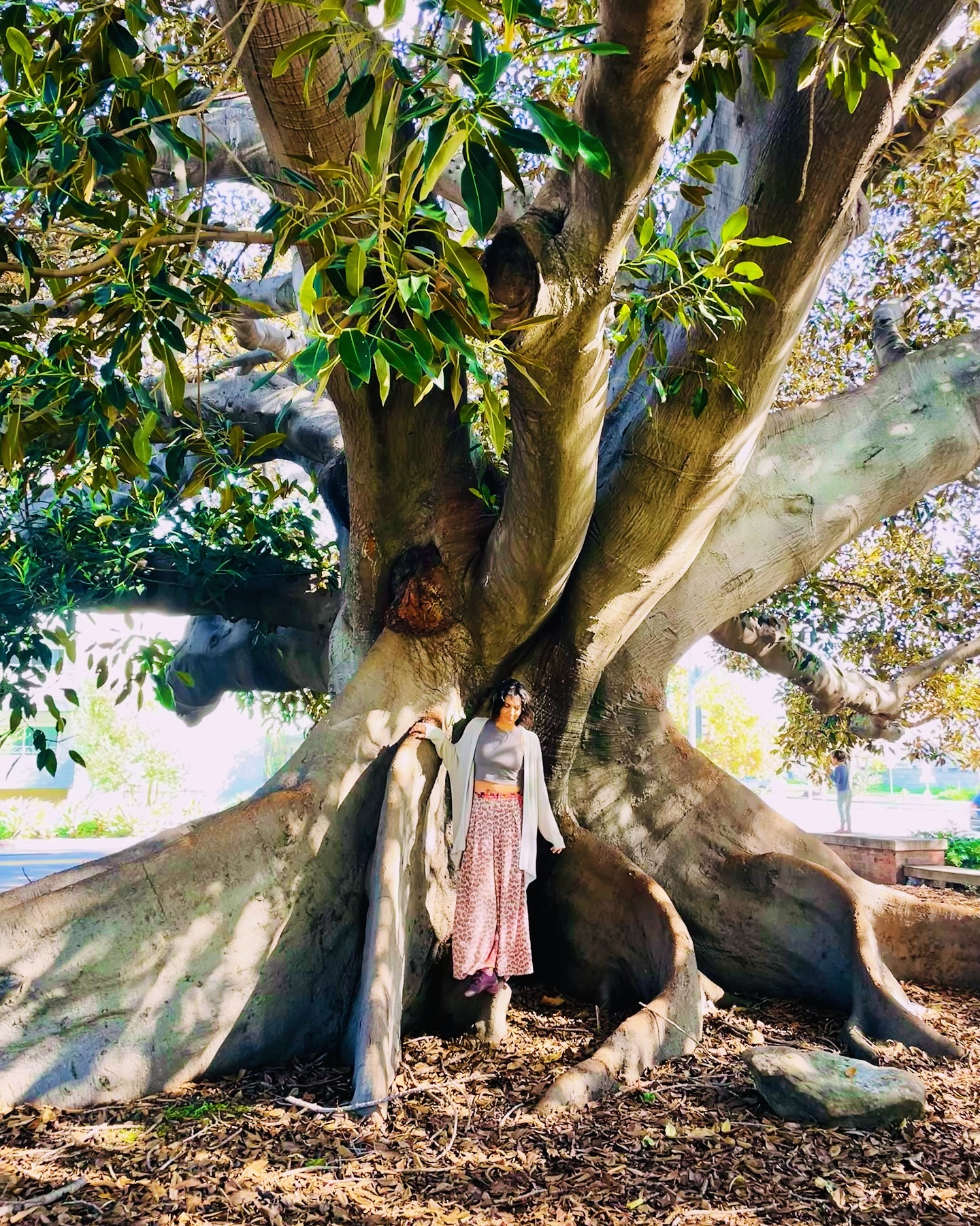 A few days ago I started on a new journey into the world of herbal medicine. Since I remember myself I’ve always loved the outdoors and was fascinated by the plants and fauna around me.
My first memory of this dates back to when I was around 6-7 in Israel- we would go on family Shabbat trips with a guide and I was always asking the guide questions about the plants around us and how they were used in ancient times. In my twenties when I moved back to Israel, my friends and I would go on long hiking trips. My love for the history of the land and the appreciation of the local ecosystem ran deep in my veins- the relationship between Judaism and local plants and trees once again sparked something in me.
Fast forward to 2 years ago- we were just starting out our nomadic life in the US. I found myself out in the Arizona desert and the Colorado Rockies wanting to learn more about the nature around me and how it pertains to cultures and the native people on the land. I wanted to know more about how the indigenous people of the land used the local environment in their lives. After all, we all started as hunters and gatherers once upon a time.
Now, I am so excited to start this journey and learn how I can live a more symbiotic life with the nature around me. I’m excited to discover how plants are used in all the various ways to help heal, treat, and nourish us. And I hope that one day I can be of service to those in need and share the knowledge I have acquired.
Thank you to @santacruzpermaculture and @__well.rooted for this opportunity 💫
#herbalism