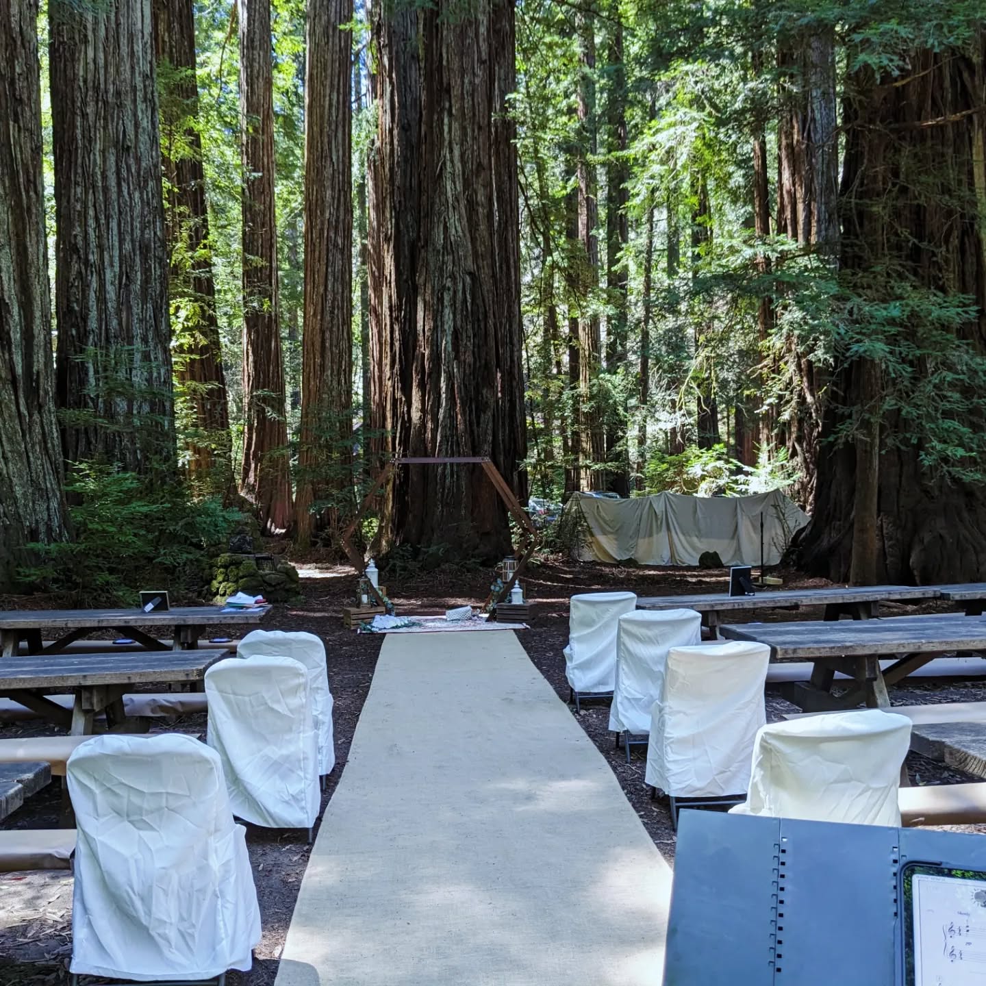 Magic amongst the redwoods-- the bride created an entire custom playlist and the trees and birds enjoyed everything from Joe Hisaishi to Radiohead, the Week'nd and JVKE. #luxurywedding #weddingceremony electricviolin