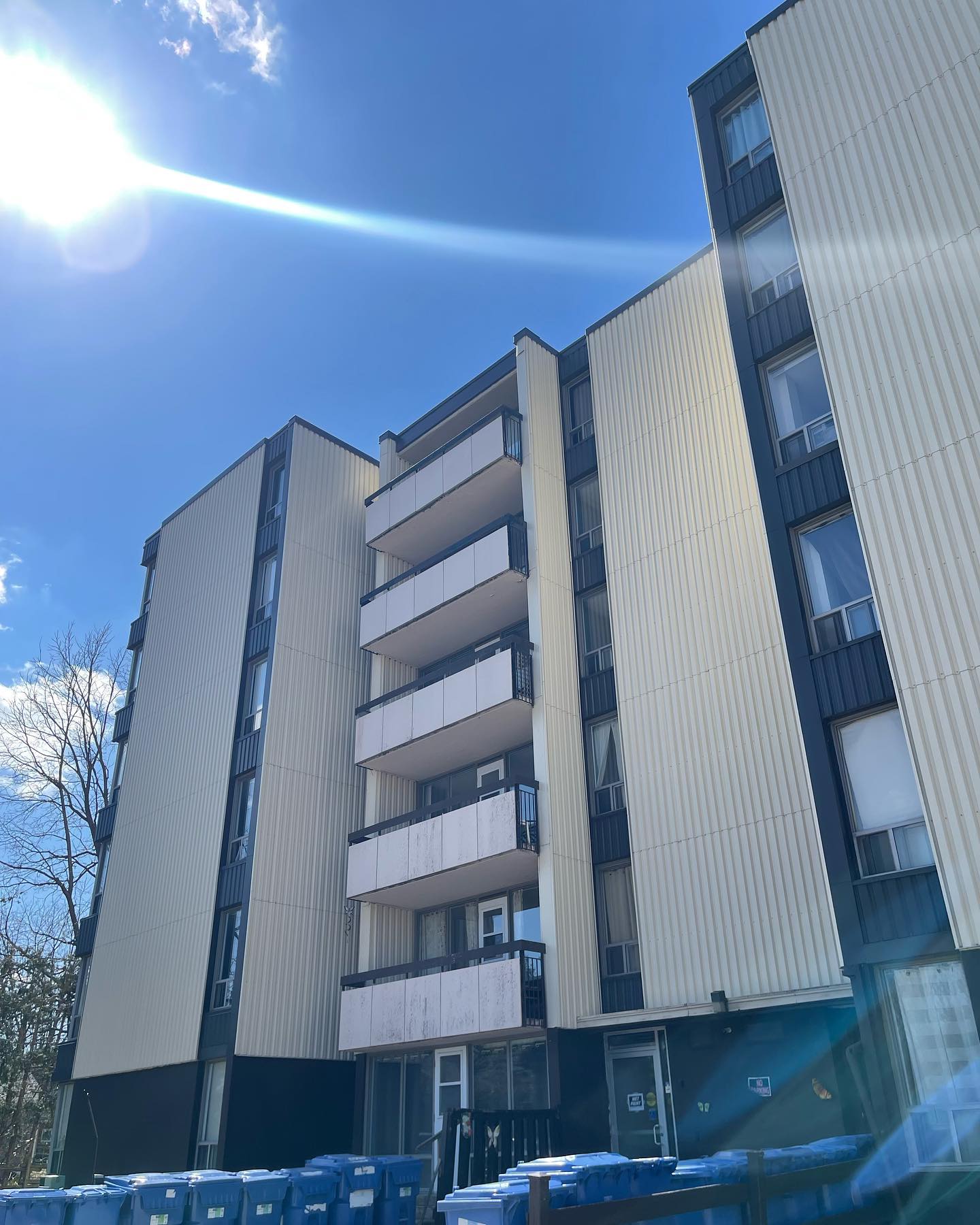 Hallway painting complete in Lindsay,ON ✅
Next up new carpet flooring 🔜
Swipe➡️
➡️6 floors painting
➡️all doors
➡️Delaminated wall repairs
.
.
.
.
.
.
.
.
.
#painting #toronto #dulux #benjaminmoore #plaster #mudding #paintlife #renovation #decor #decoration #colorisedecor