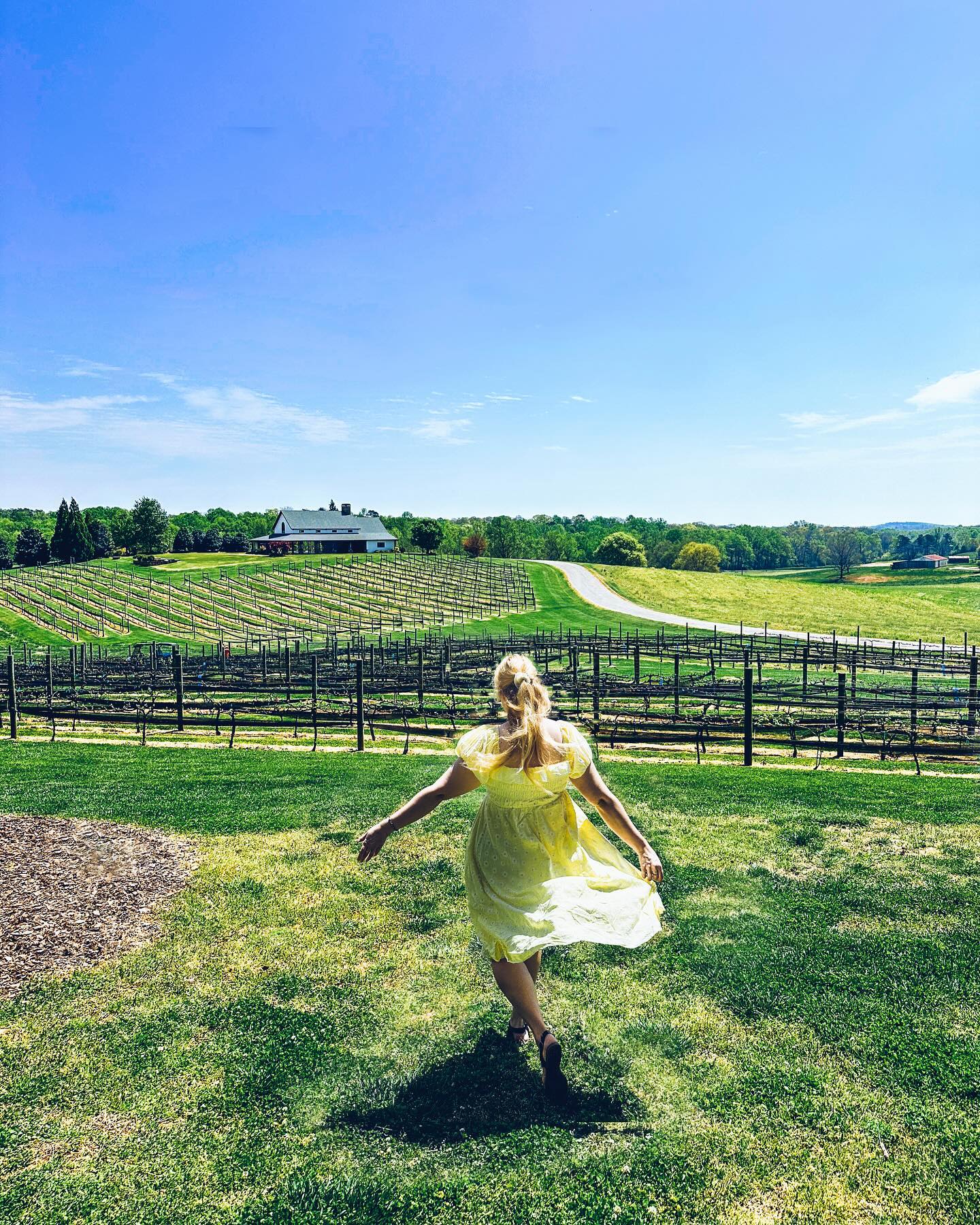 Mountains, forest, flowers, and wineries. Throughly enjoyed visiting this area again after so many years. Cheers to memories, new and old 🥂
#northcarolinaoutdoors #wineries #blueridgemoments #beautyintheeveryday #familytrips