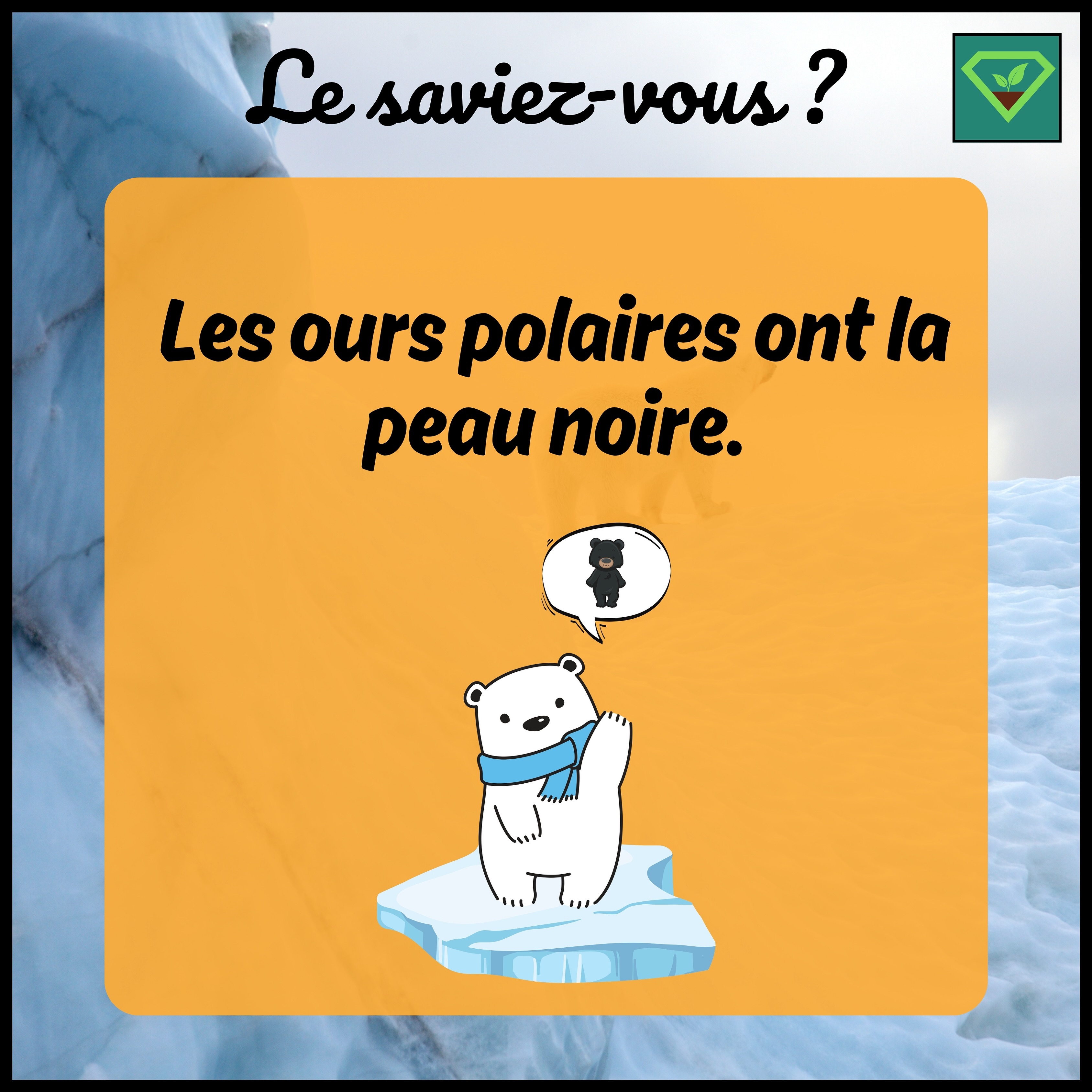 🐻❄️ Les ours polaires ont la peau noire :
🧊 Cette caractéristique leur est très utile dans leur habitat arctique. Leur fourrure, bien qu’elle apparaisse blanche et se fonde avec la neige environnante pour offrir un camouflage, est en réalité translucide et non blanche.
👉 La couleur blanche que nous voyons est due à la lumière qui est dispersée et réfléchie par la fourrure.
👉 La peau noire sous leur fourrure leur permet d’absorber plus efficacement la chaleur du soleil. Les poils de leur fourrure sont creux, ce qui aide à emprisonner la chaleur et à maintenir les ours au chaud dans des conditions climatiques extrêmement froides.
#savoir#histoire#insolite#lesaviezvous#greenisyou#funfact#info#culturegenerale#ourspolaire#peaunoire#arctique#animaux#chaleur