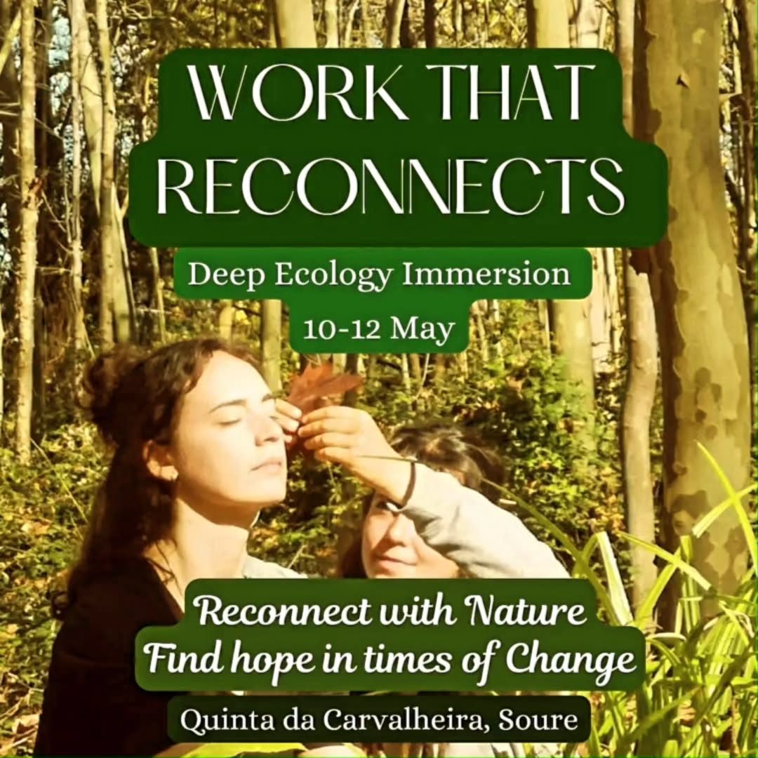 Hello dear ones! 💛
We are having our 5th edition of Work That Reconnects Immersion 🌀
What is WTR?
The Work That Reconnects is an inspiring, interactive group process for anyone who longs to reconnect with nature in a more powerful and effective way.
A transformational process created by Joana Macy, pioneer of Deep Ecology Movement.
A journey to connect with the web of life, your emotions, deep motivations and visions 💛
More info & registrations: link in bio