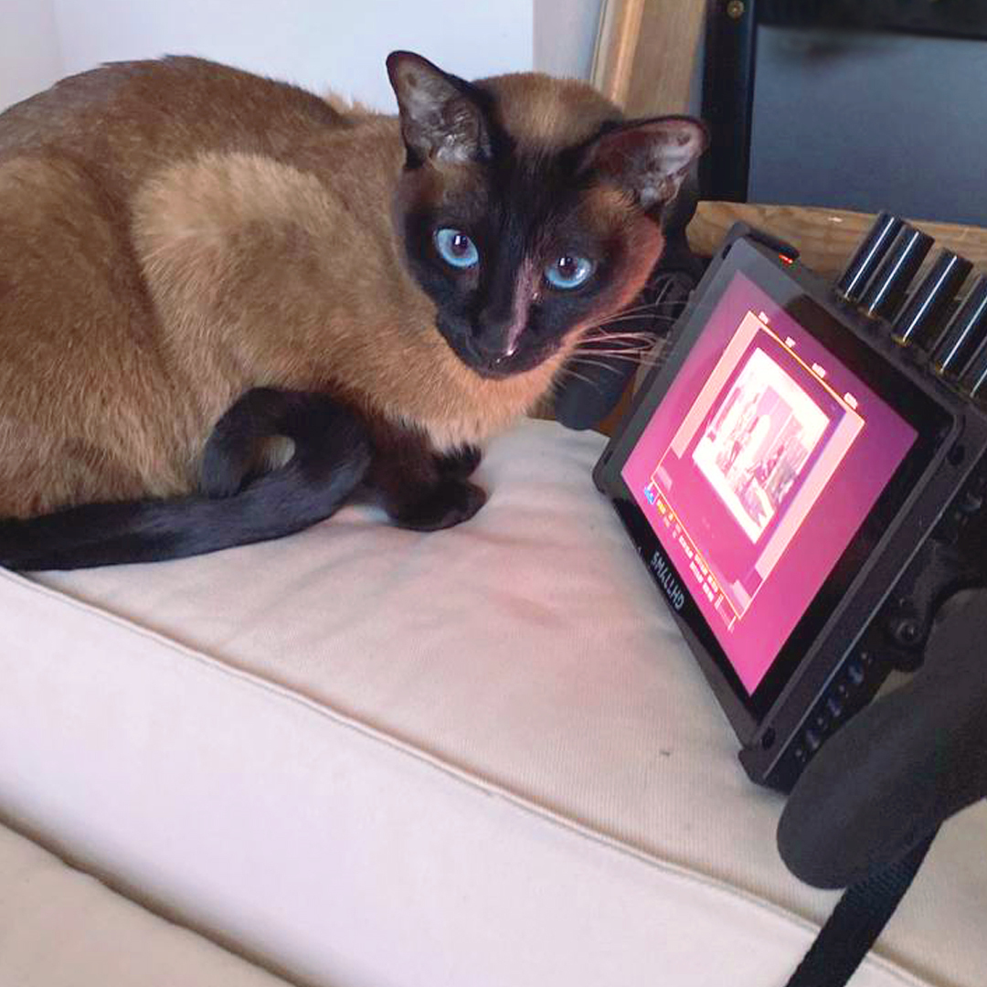 A great team is making GERUCH DER TULPEN and HILLI AND ROSA happen. My deep respects for your commitment.
I'll introduce everyone soon. Here is a few first pics.
1: Fuki - pic: @sinacolada2.0
2: a great part of the team- from left to right an up to down: Simon Weckert @simonweckert (hilli operator), Henri Scheunemann @henri_hibs (1. AD), Thao My Hoang @myiiaow (cast: Leila), Matteo Schiller (2. AD + scenography assistant), Jan Hellerung @jan_hellerung (1. AC), Fabian Dotzler (best boy), Dela Dabulamanzi @deladabulamanzi (cast: Kathrin Meim), Hanna Scharman-Klein (HMU), Kim Bode @kim.bbode (sound), Gloria Gammer @rainbowwarrior (direction, screenplay, scenography, editing), Carolin Knab @velocironcey (cast: Rosa Kuyumcu), Micaela Masetto @micaela.masetto (DoP), Sina Blume @sinacolada2.0 (gaffer), Johanna Schraut @johannaschraut (costume)
3: AC @jan_hellerung and DoP @micaela.masetto - pic: @sinacolada
4: gaffer @sinacolada2.0
5: yours truly - pic: @micaela.masetto
6: sound @kim.bbode
7: screenwriter and actor Philipp
8: best boy Fabian - pic: @sinacolada2.0
9: 1. AD Henri - pic: @sinacolada2.0
10: 2. AD and scenography assistant Matteo - pic: @johannaschraut
#femalefilmmaker #shortfilm #contemporaryart #femaleartist