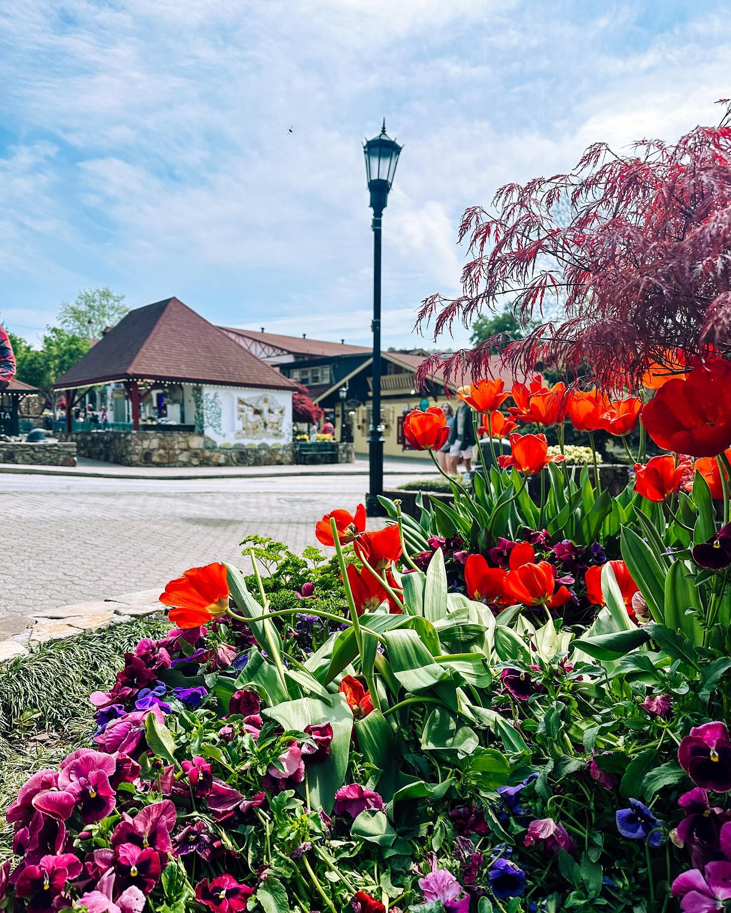 Dad mentioned a few years back that he visited a Bavarian in spired town in north Georgia a few years back, an that it was with a stop. It absolutely is! In many ways it is a silly little town, worth visiting only if you already happen to be in the vicinity (fantastic hiking in the area). Very glad we stopped and wandered around, also had some amazing coffee @honeyonthehilll
#helenga #fairytaleplaces #visitgeorgia #familytravels #bavarianvillage