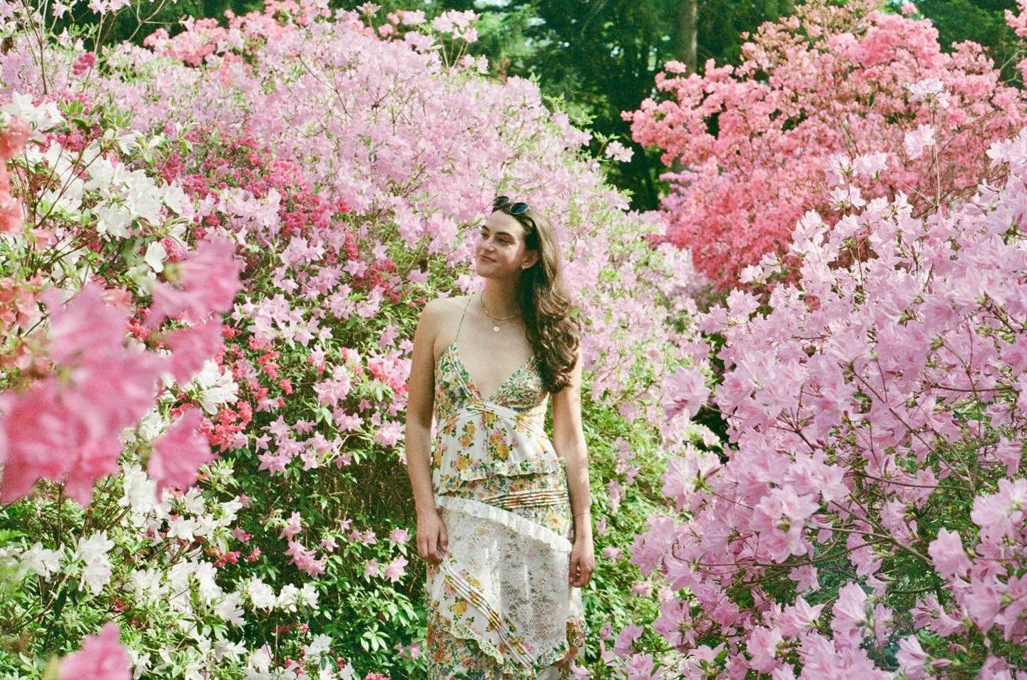 so I will go to secret gardens in my mind 🌸