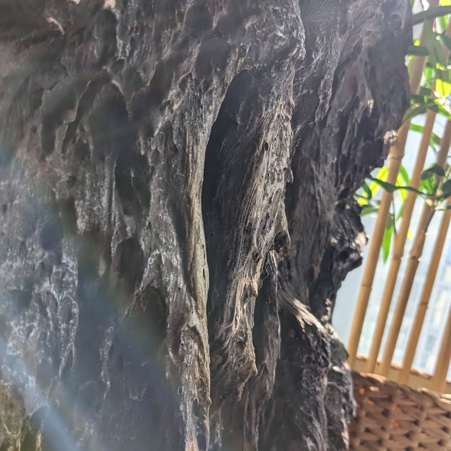 Volcanic rock wall, golden highlights
#interiordesign #rockwalls #stonewalls #decowall #decowalls