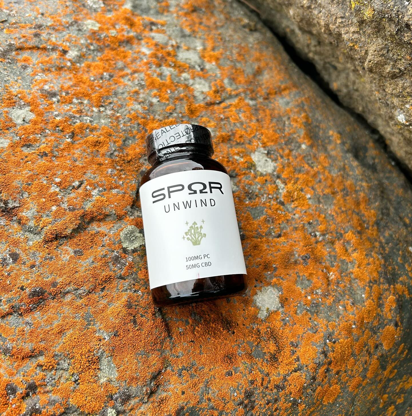 Sunday vibes call for the perfect blend to unwind and unplug. 🌲🔌