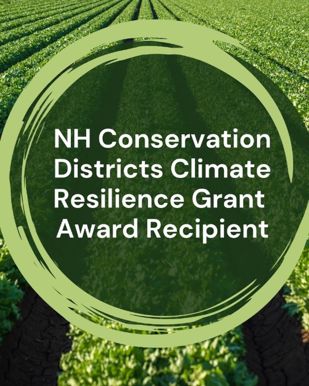 I am thrilled to share that Wild Fern Farm is a 2024 NH Conservation Districts Climate Resilience Award Recipient!
We are using this generous funding to purchase compost to mulch our vegetable beds. More posts to come about the many way that compost mulches can help a more resilient farming system. These baby kale plants sure are enjoying being planted in it!
The mission of the NH Conservation Districts Climate Resilience Grant is to support and empower local farmers to build climate resilience throughout the Granite State and is a partnership between the 10 NH Conservation Districts.
Farmer friends- applications open in late winter, keep an eye out for next year's application period on your local conservation districts webpage. There is quite a broad list of activities that they will fund.
@rockinghamccd
#ClimateResilientNH