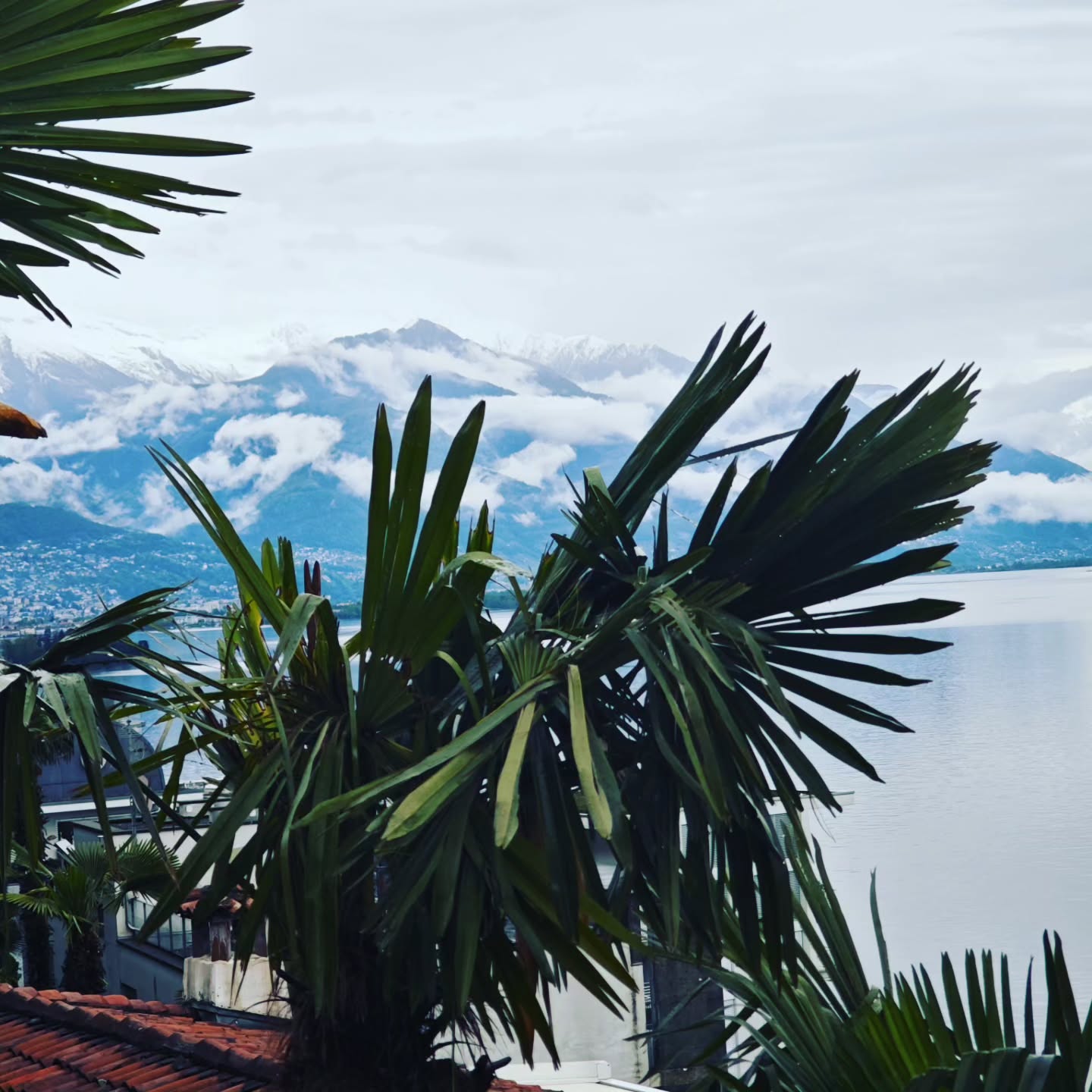 Even on a rainy day Brissago is looking good!
#brissago #brissagoislands #visitbrissago
#visitticino #ticino #ticinoturismo #switzerland #switzerland🇨🇭 #travel #airbnb #airbnbsuperhost #airbnbhomes #lagomaggiore #swiss #swissriviera #brissago4u #lake
#swissalps #swissculture #loves_united_switzerland #switzerlandwonderland #got_greatshots #planet_earth_shots #suissebook #discoverthealps #discoverswitzerland
#mybrissago
@mybrissago
@lidobrissago
@tcbrissago
@bahiabrissagosnackbar
@cantina.giromit
#cantina.giromit
@aziendavitivinicolachiappini
#aziendavitivinicolachiappini