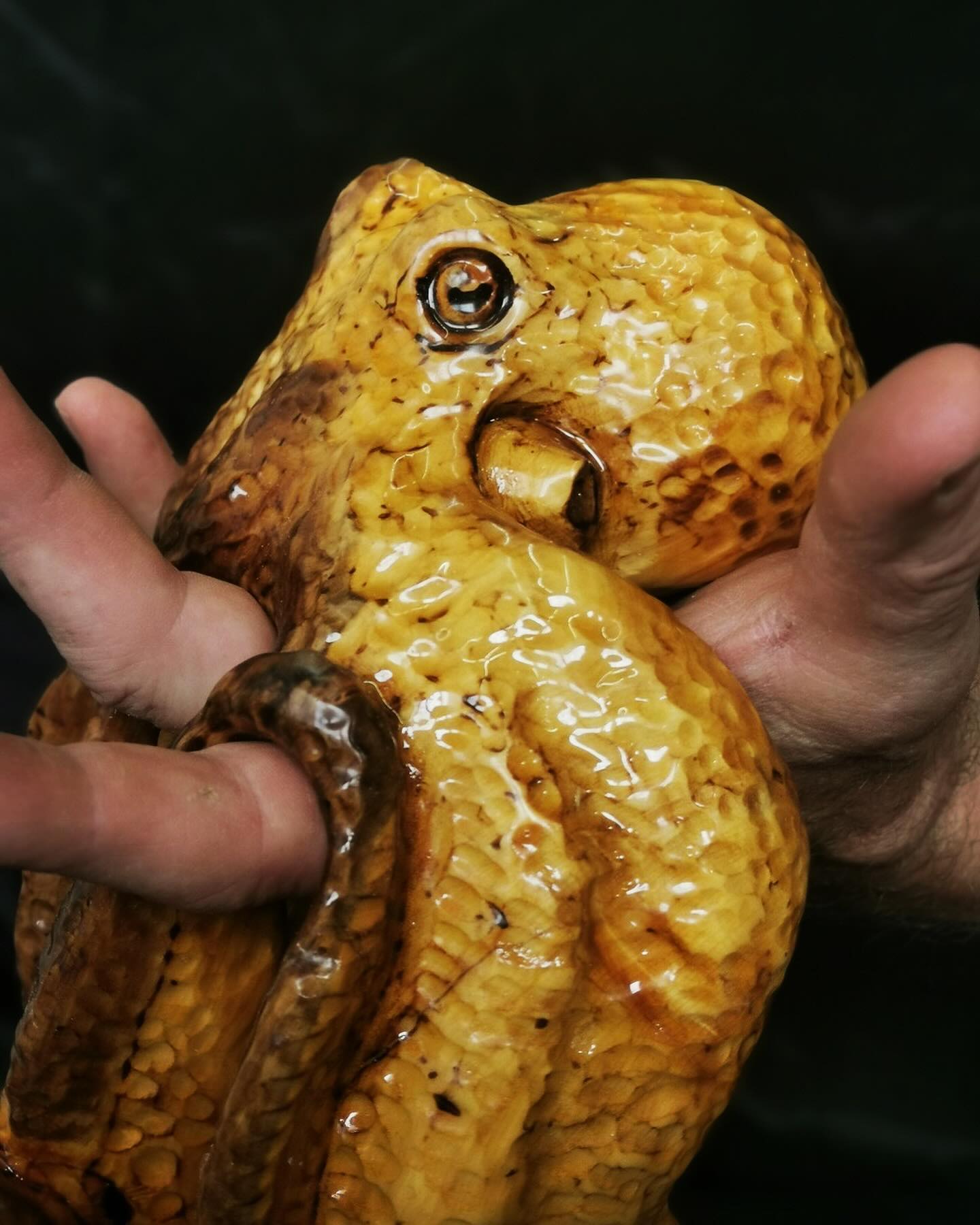 This burl beauty is Jesse’s most recent carving.
Fun fact: octopi have three hearts and due to the protein haemocyanin which carries the oxygen around their bodies, their blood is blue! They truly are royalty! #fascinatingcreatures
@jessetoso