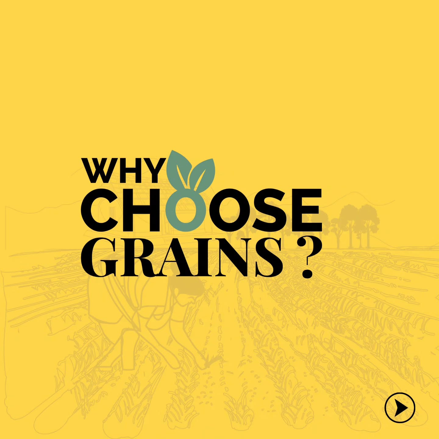 Experience the incredible benefits of grains with @tuvainature ! Our grains are packed with essential nutrients, supporting your overall health and well-being. Say hello to a happy gut with their fiber-rich goodness, ensuring smooth digestion. Feel energized throughout the day and embrace the anti-inflammatory wonders that grains offer.
Shop our premium natural products at www.tuvainature.com
-
-
#tuvainature #organicproduct #jharkhandpride #organicgoodness #farmerslife #indianfarmers #sustainbleagriculture #traditionalfarmingpractices #organicfarmers #organicfarming #amritkrishi
#earth #conscious #nutrition #nativeseeds #amritkrishi #sustainablefarming