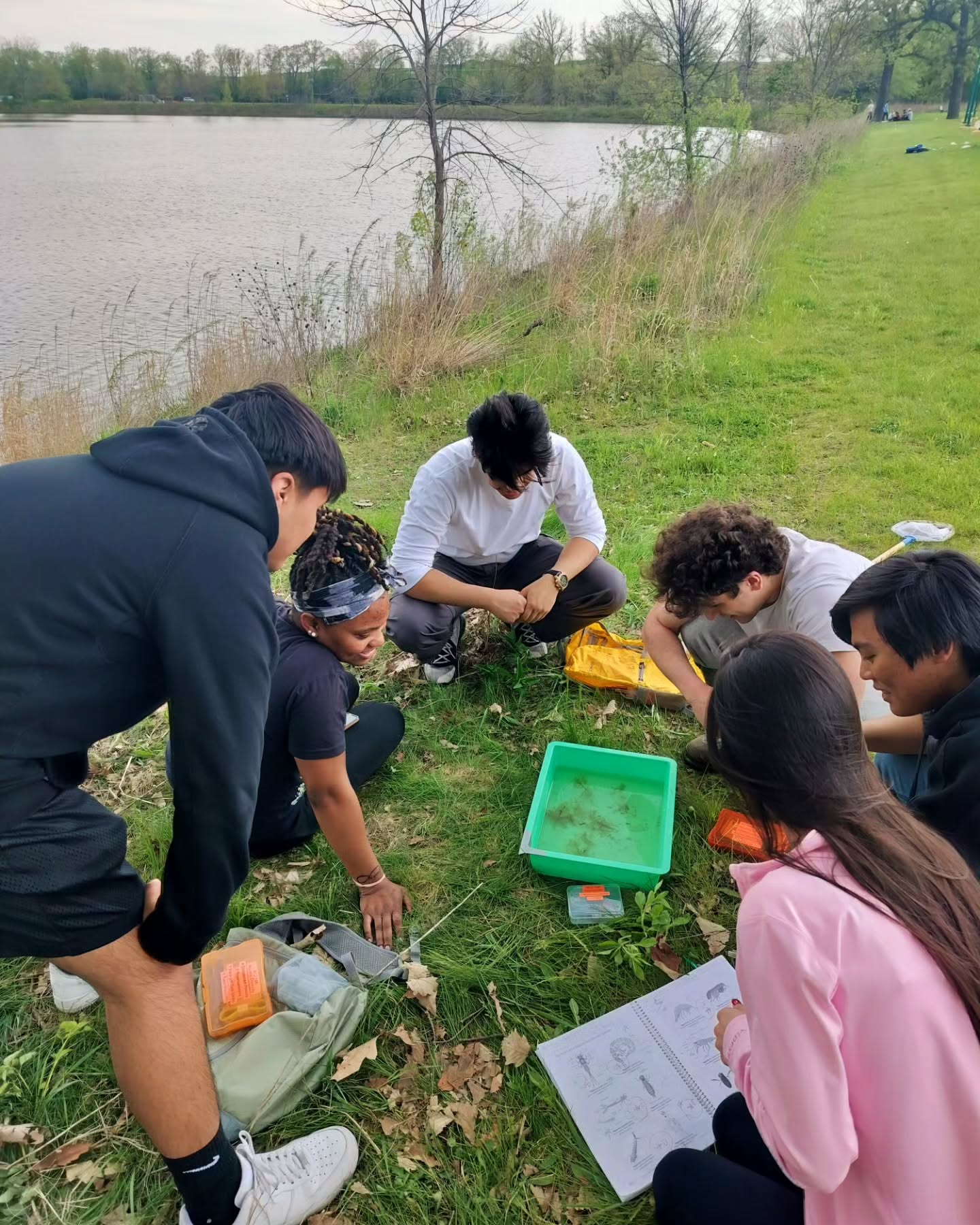 Environmental science students collaborating to measure the biodiversity of the aquatic macroinvertebrate community in Lake Oakton. Plenty of dragonfly and damselfly nymphs, mayfly and caddisfly larvae, amphipod and cladoceran crustaceans, planarians, and water beetles were found, identified, and counted. Peace y'all.