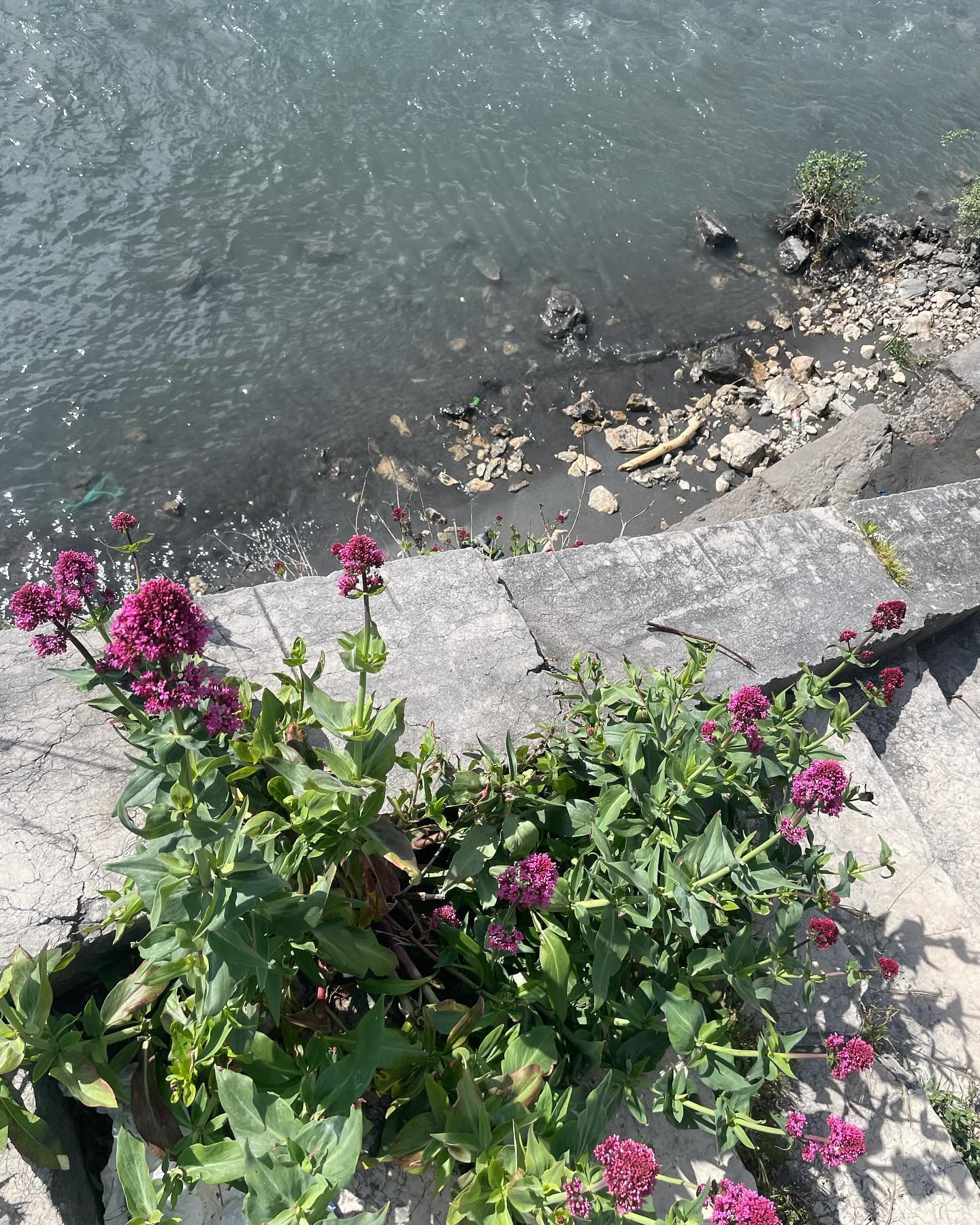 Partout où elles peuvent, les idées naissent 🌱
Travaux en cours sur un film de marque territoriale.
#cr #da