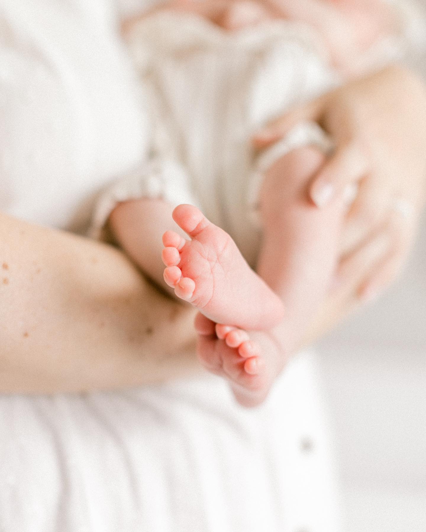 Blogged a pretty little newborn session💕 link in stories.
.
.
.
#lifestylenewborn #dfwnewbornphotographer #dentonphotographer #dallasnewbornphotographer #ftworthnewbornphotographer