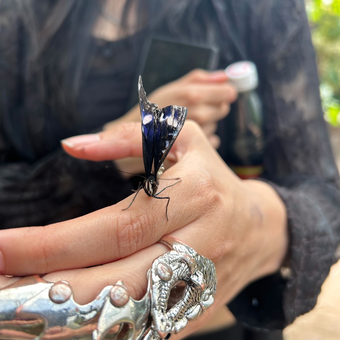 We also had an out trip to @victoriabutterflygardens this week!
It was tons of fun, we all enjoyed our time so much & probably could have stayed a lot longer (well a few of us had a hard time leaving anyway!) Students loves the interactive birds, seeing the turtles, frogs, bugs, tortoises, Mango the flamingo, & obviously all the beautiful butterflies! We could have posted a lot more photos but this selection will have to do! 🦋❤️🐢
(Also, who knew how many youth are terrified of butterflies... they are, now you know 😂)