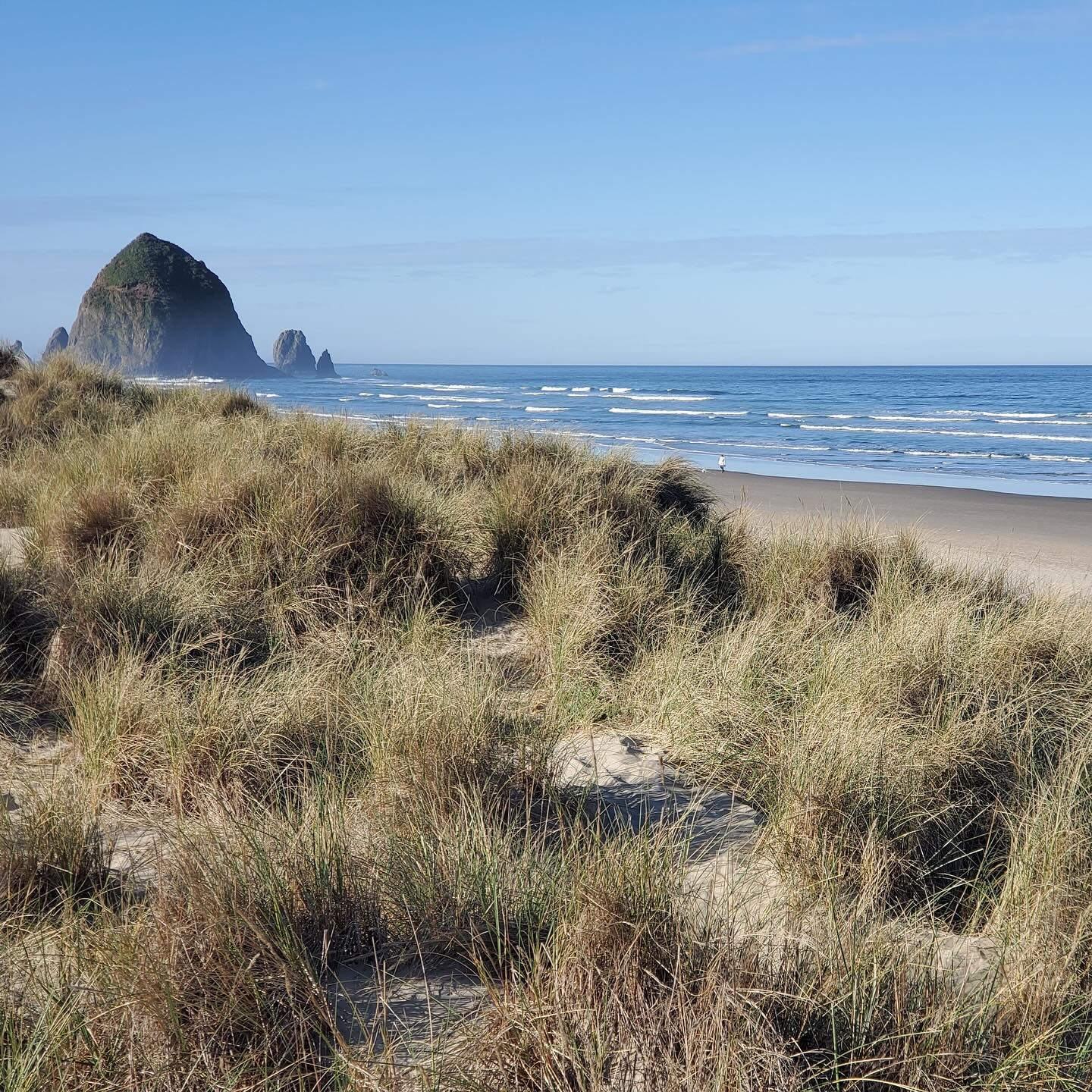 Your perfect itinerary for 24 Hours of rest, renewal, and adventure in Cannon Beach, up now on the blog (link in bio 👆)
Fair warning…you’ll want to stay longer. Still, you can fit a whole vacation into 24 hours if you plan it right. We’ve got you covered.
Head over to the blog for the best spots for:
✨coffee
✨breakfast (gluten free options)
✨dinner (gluten free options)
✨lodging
✨a soul-affirming sunset hike
✨go-karts
✨mini-golf
✨puffin sightings
✨sweets
We’ve tagged some of our faves in our photos above too 😉
.
.
.
.
.
.
#getoutside #play #traveloregon #cannonbeach #oregon #pnwonderland #pnwcollective #pnwadventures #hikeoregon #thefuturewild #24hours #glutenfree #glutenfreeoregon