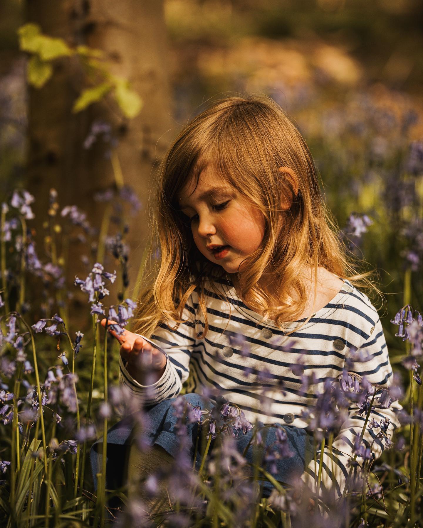 Nothing better than having some lovely returning customers! I photographed this beautiful family at a Christmas Tree Farm in December, and the two little ones came back for a lovely Bluebell photoshoot.
We shot early evening which led to some lovely light conditions to work with! Just loved seeing their personalities shine through - Jaspers grown such a lot in 4 short months!
Mila & Jasper 🥰