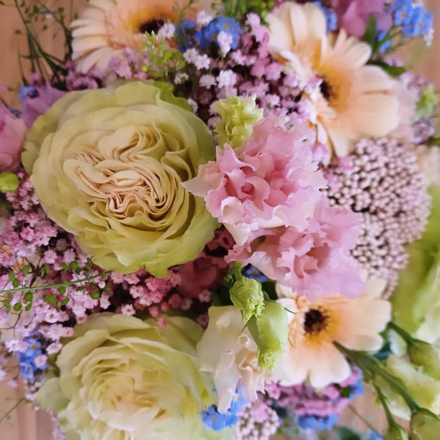 Am 12.Mai ist Muttertag 💗💗💗
viele Ideen für die liebste Mama, Oma,Schwiegermutter gibt's in eurer City Blume
#cityblumehdh #floristik #liebe#muttertag#sagsmitblumen