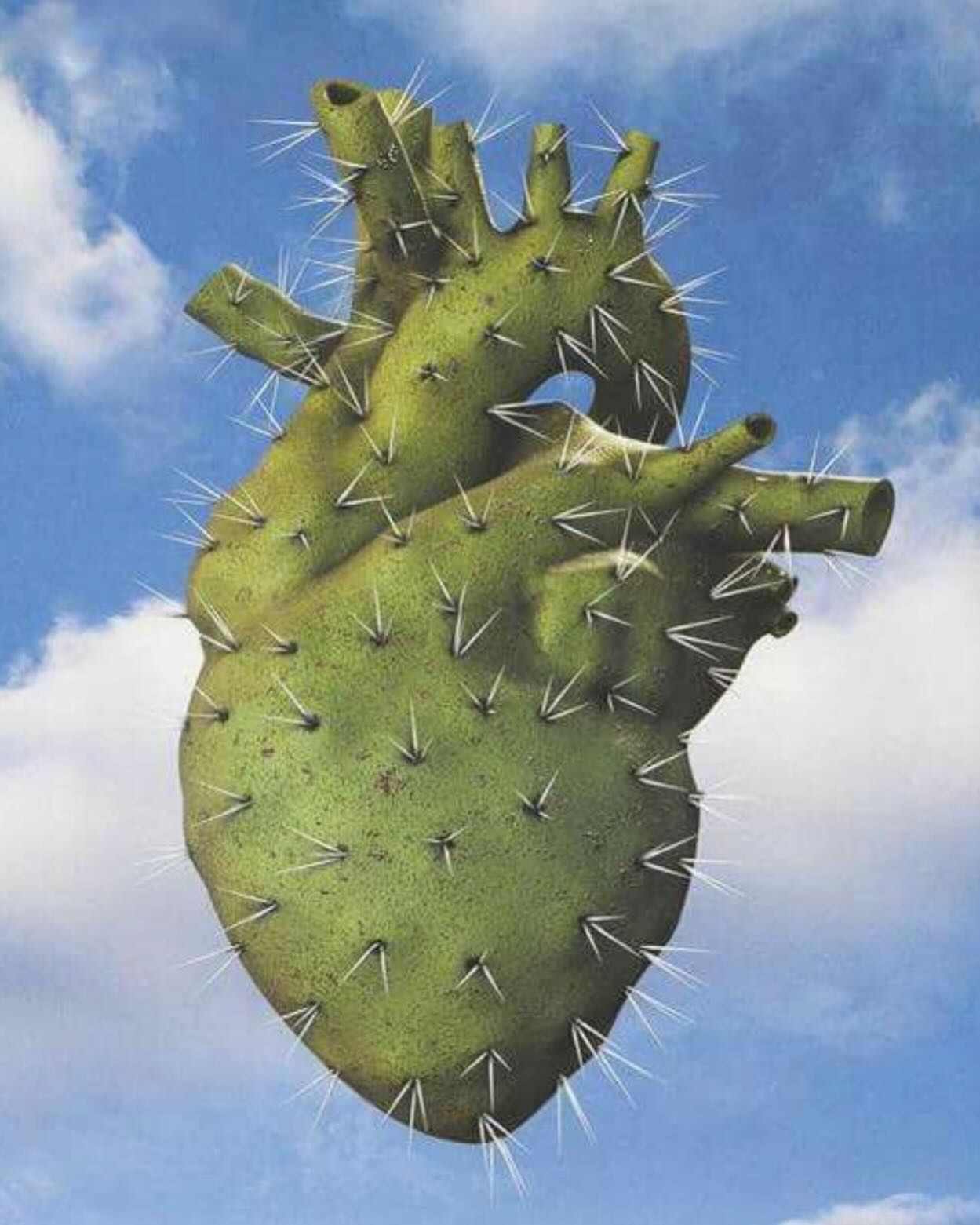 🫀H J E R T E T S T E K S T U R
💔 AT FÅ BRÆNDT hjertet kan give lyst til at pakke det ind i kaktus, så den næste ikke kan komme for tæt på. Det kan syne som en effektiv måde beskytte sig selv mod smerten; at holde folk på afstand.
🌵 MEN NÅR vi lukker hjertet overfor andre, lukker vi det også overfor os selv. Så kan det blive ensomt og måske give følelsen af forladthed.
❤️🩹 HJERTER FÅR knubs af levet liv. Det kan være en kærestesorg, en afvisning, et skænderi.
Heldigvis kan et hjerte godt være lidt bulet og samtidig fint funktionsdygtigt.
🩵 KUNSTEN ER ikke at lade fortiden determinere fremtiden. At skærme sig i kommende relationer og situationer er ikke en garanti for andet end manglende kontakt, indadtil og udadtil.
❤️🔥 KAN TIDLIGERE tiders sår blive til årringe bag et bankende og blødt hjerte, der er klar til at møde verden, med alt, hvad den måtte bringe?
#psykoterapi #eksistentielterapi #samtaleterapi #psykologi #kærlighed #sorg #smerte #pansredehjerte #fleksiblehjerte #yossilemel