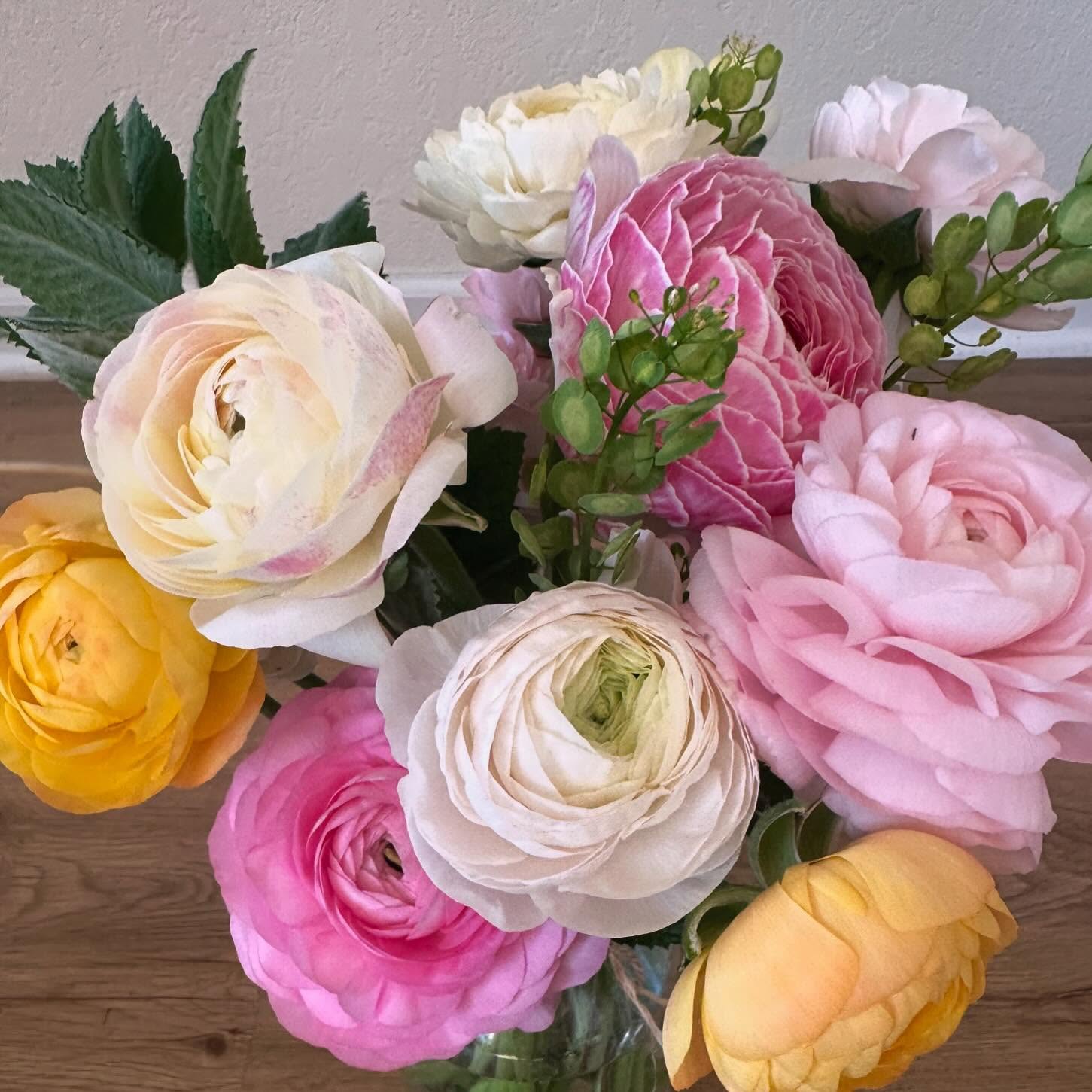 Hey! It’s ranunculus time. 🩷 #wellgrownflowers #wellgrownfarm #localflowers