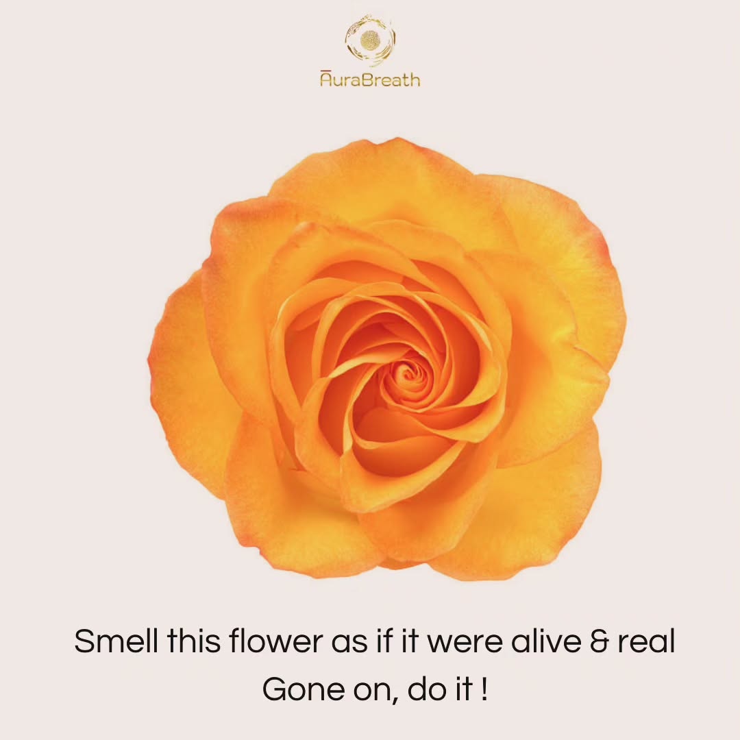 First: did you notice the typos on my post? Did you notice if you hold your breath when you spotted something unexpected, an error, if you judged negatively? Write YES if you did any of the above.
Next:
Make life easier for yourself with #functionalbreathing #selflove
Here's how you can:
https://bookwhen.com/yogabliss/e/ev-sj5z-20240525110000
https://bookwhen.com/yogabliss/e/ev-sno8-20240614170000
Have you tried breathing slowly, moving slowly or breathing with soft cranial support to ease tension, release the past and live with ease?
#coherence
#decoloniseyourspirit
#asian_female_entrepreneur
#yoga
#detox
#asian
#stressreduction
#southlondonevents