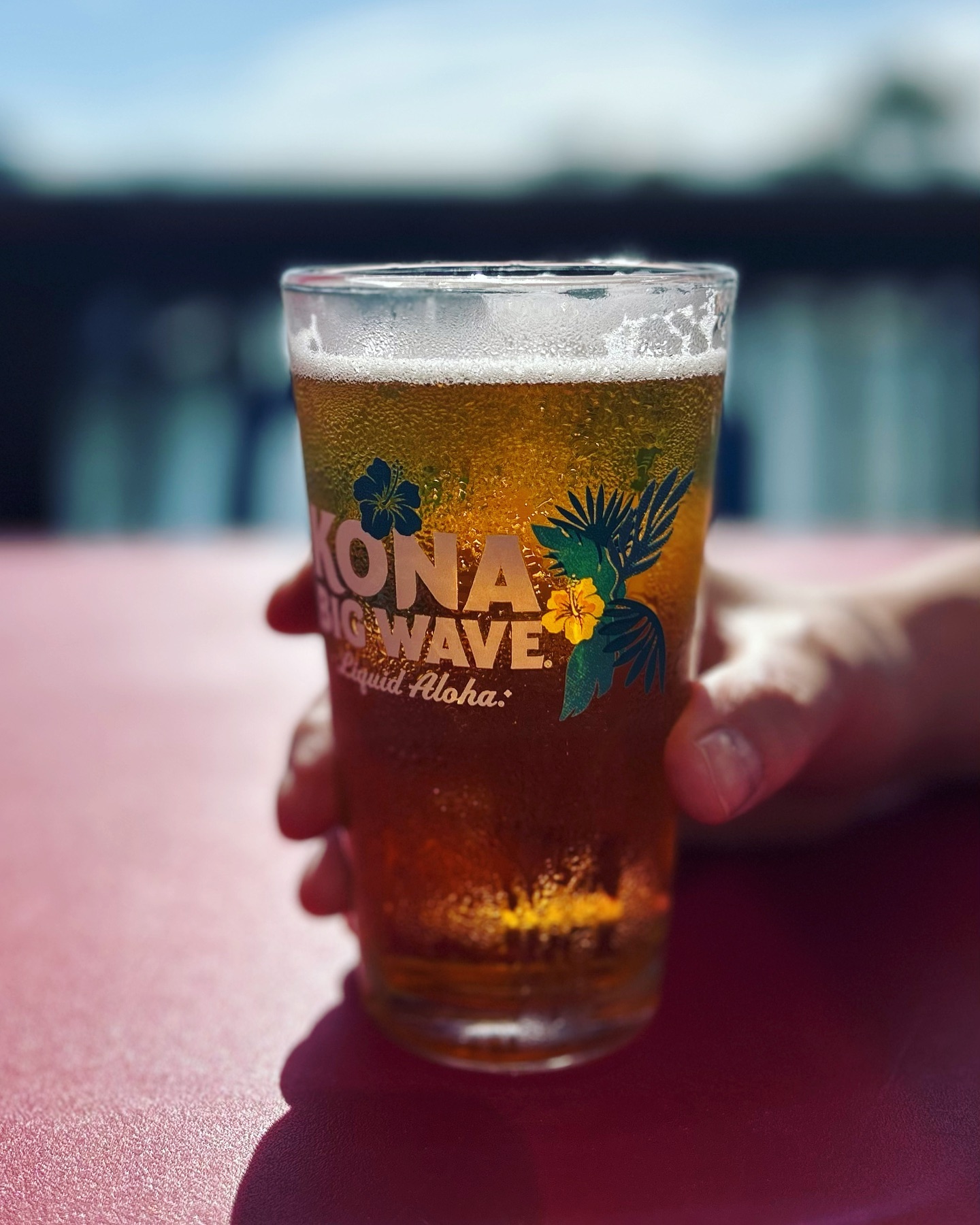 Are you set for sunset?
#alohashades #alohashirts #liquidaloha