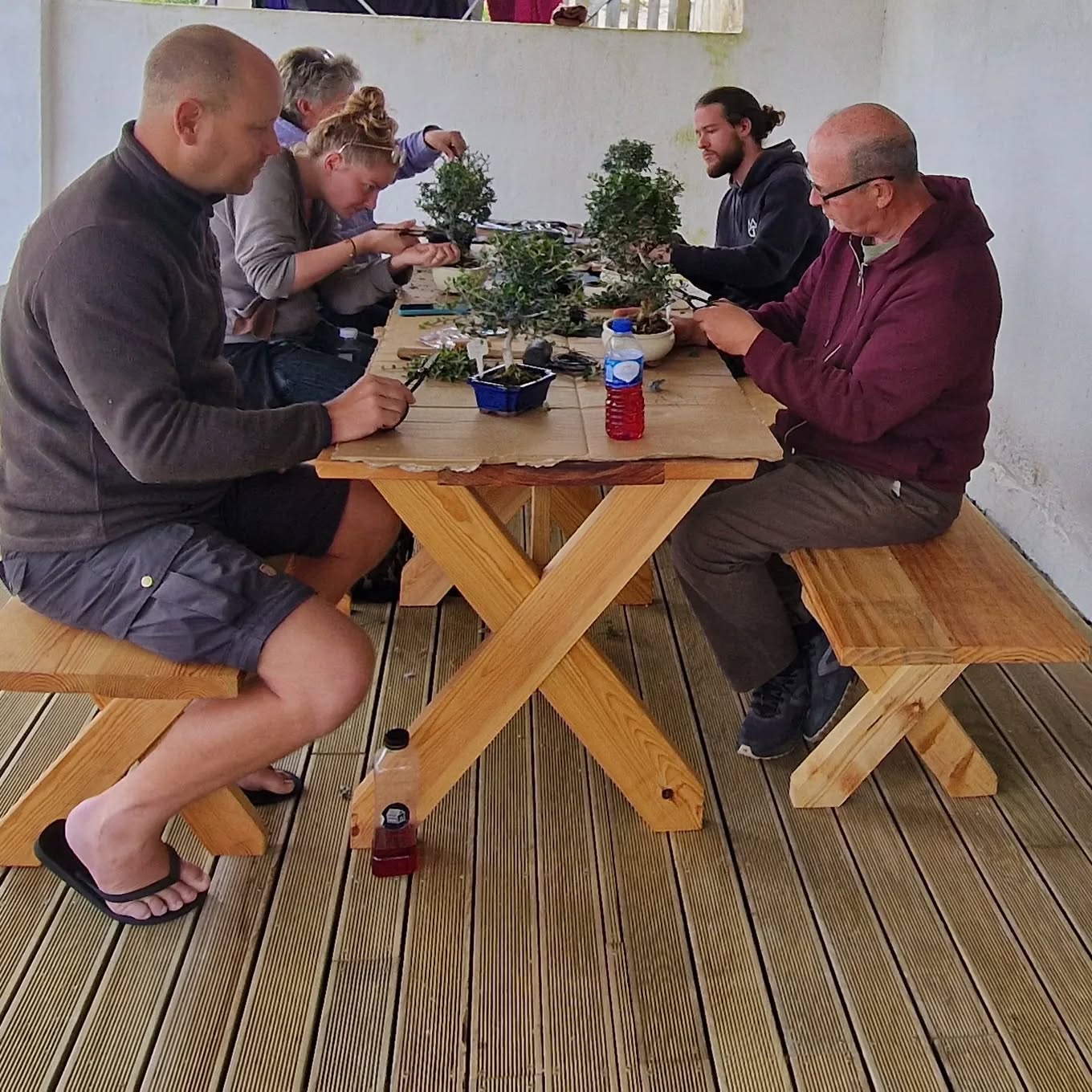 Dedicated Bonsai Artists
#bonsai #bonsaitree #bonsatrees #chinesepepper #olivebonsai #citrus #portugal #portugalbonsai #bonsaiportugal #bonsaiclass #bonsaiworkshops #makebonsai #ma-kebonsai #permabonsai