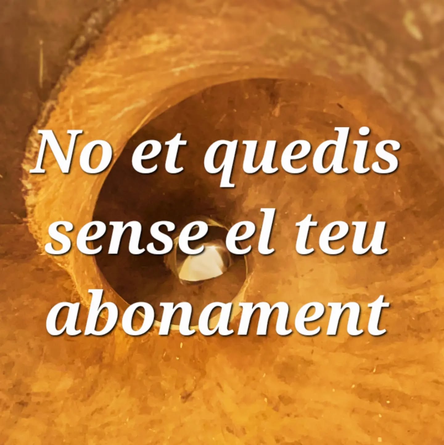 🎟 Demà engeguem amb @kambrassquintet ! Si voleu venir als 3 concerts d'enguany, no us quedeu sense el vostre abonament!
😏 Per només 38 €! El podeu adquirir a la web del festival!
@ajlasecuita @dipta_cat @visit_vistabella #primaveramusicalvistabella #femcultura #lasecuita #vistabella