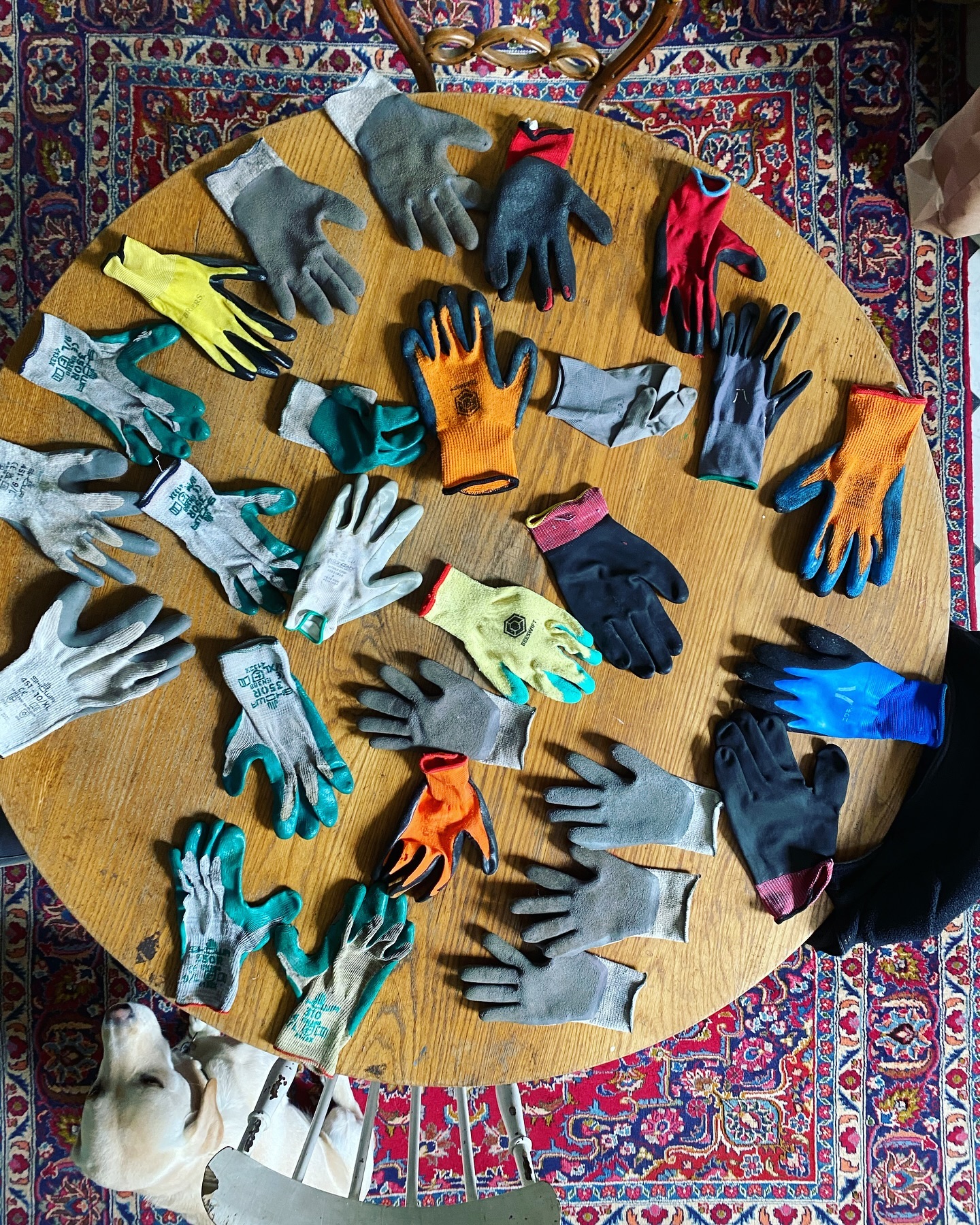 Single gloves #chaos #gardeninginmay #singleglove #gardeninglove #busyseason