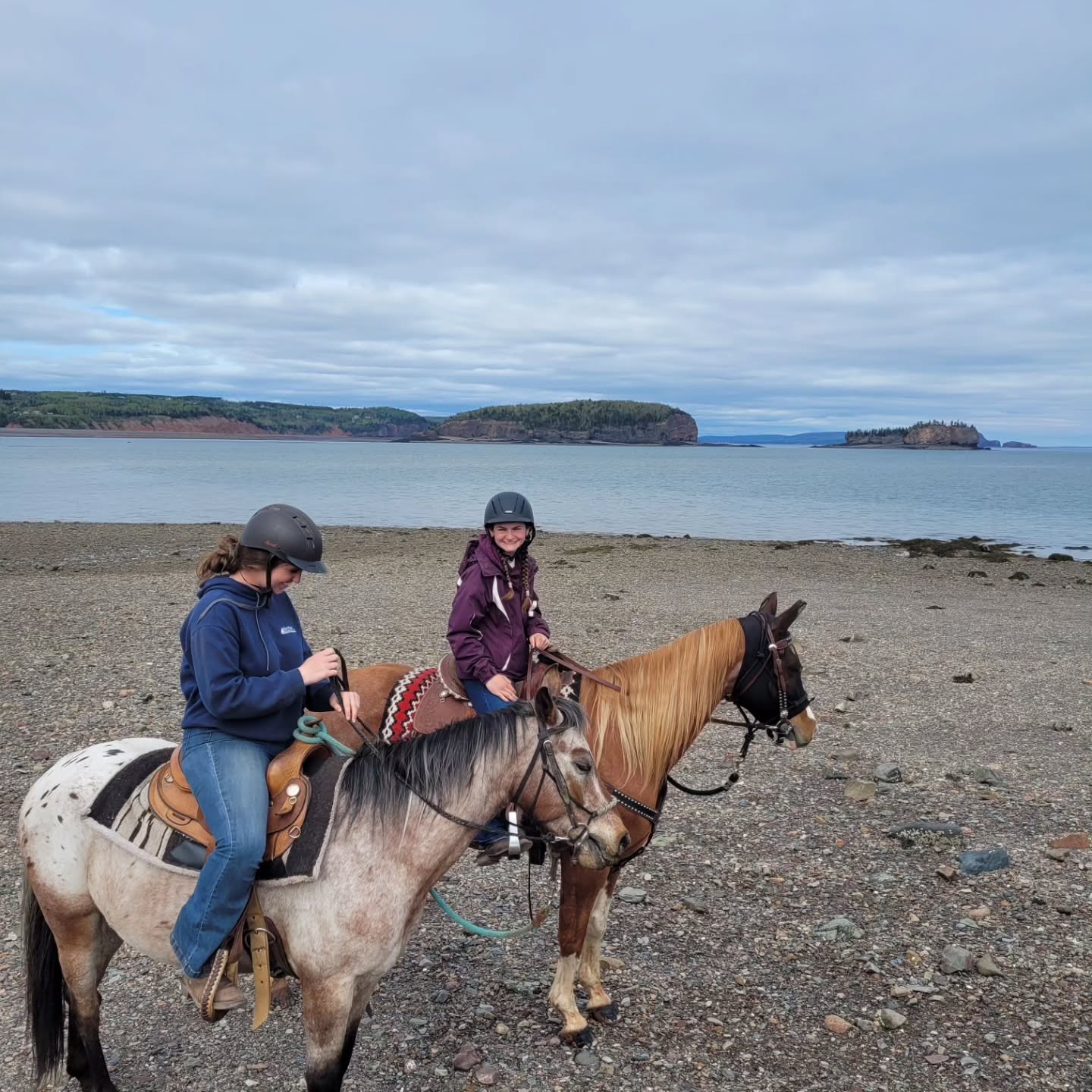 Spring Photo Dump #horsebackriding #trailriding #horses #horsesofinstagram #exploreparrsboro #explorenovascotia