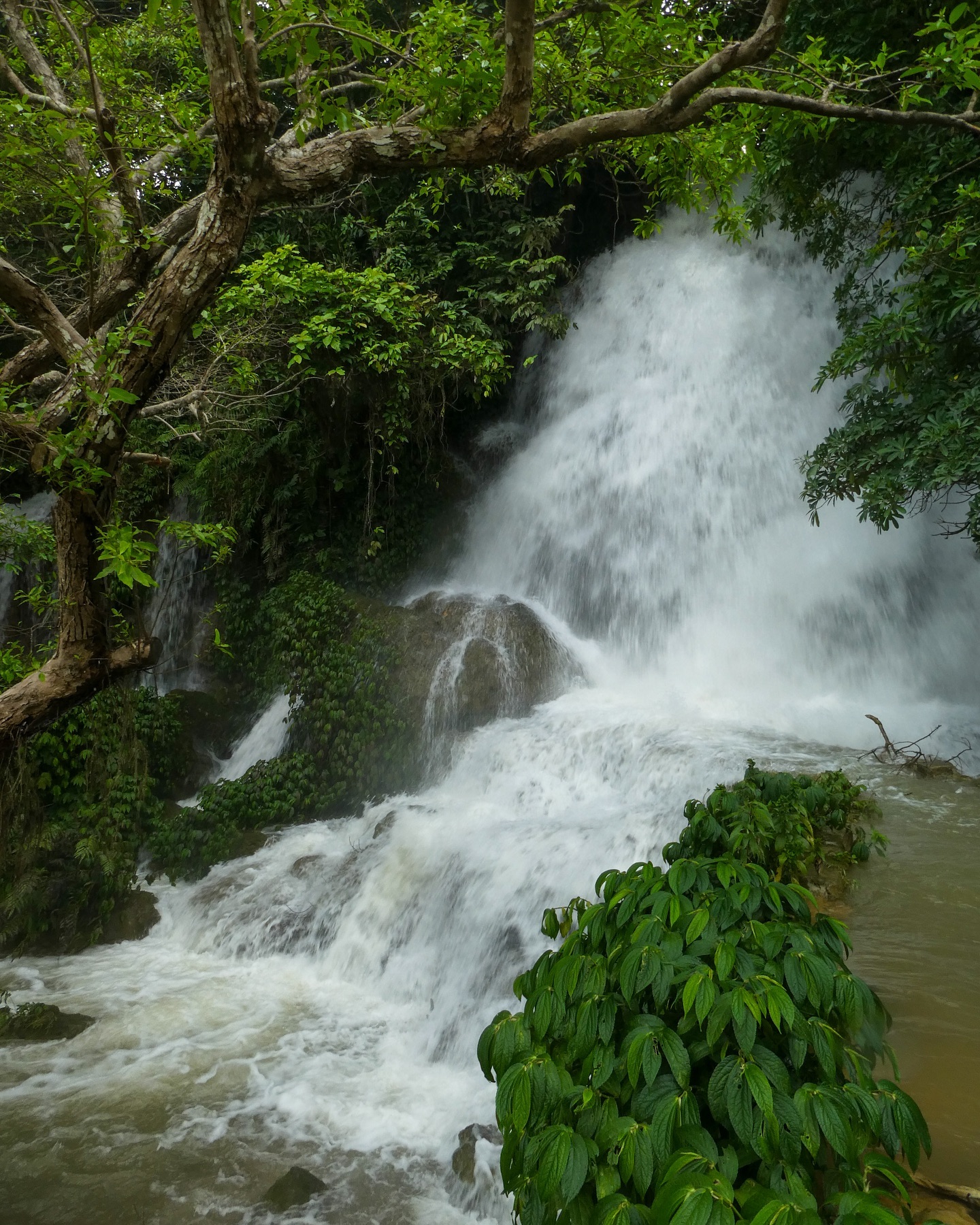Quite literally chasing waterfalls (+ caves, rice fields, and water buffalo)